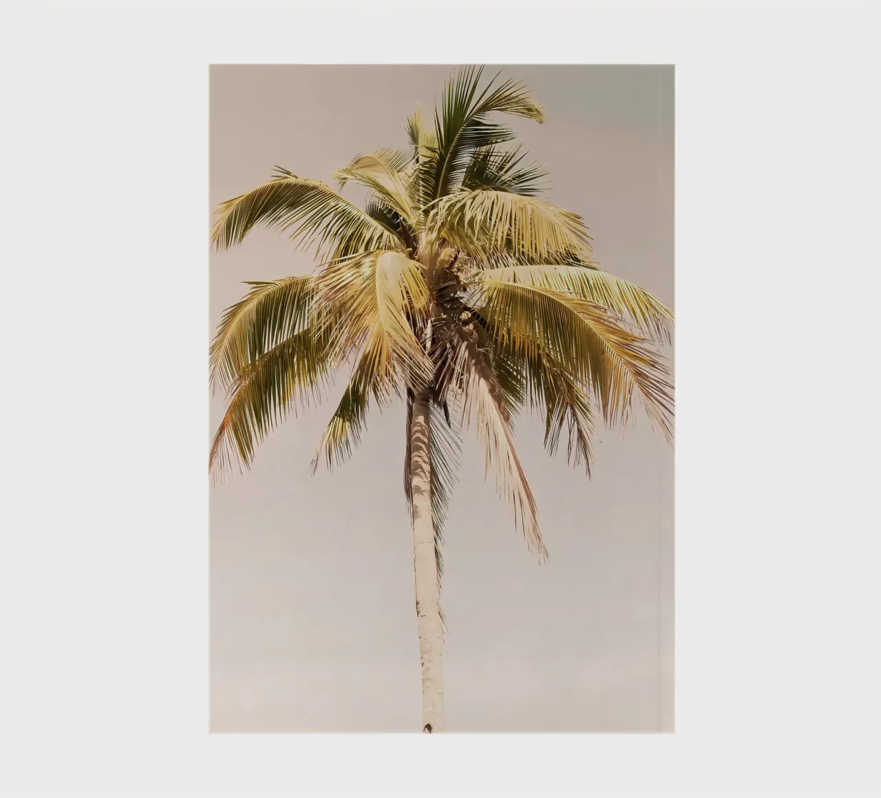 Palm Tree Beach Dream 2 notebook by Matthew Katz