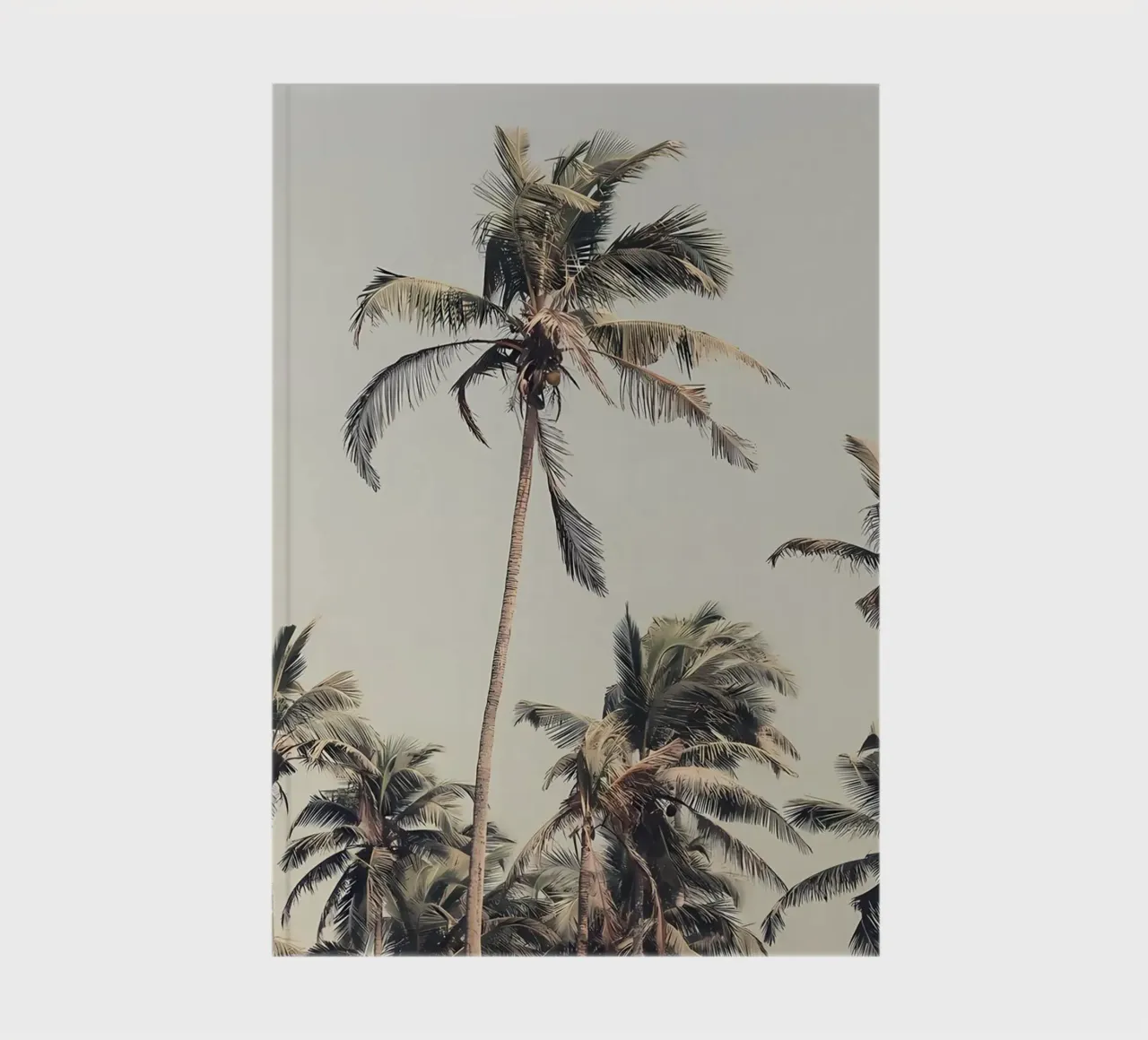 Palm Trees on the beach notebook by Matthew Katz