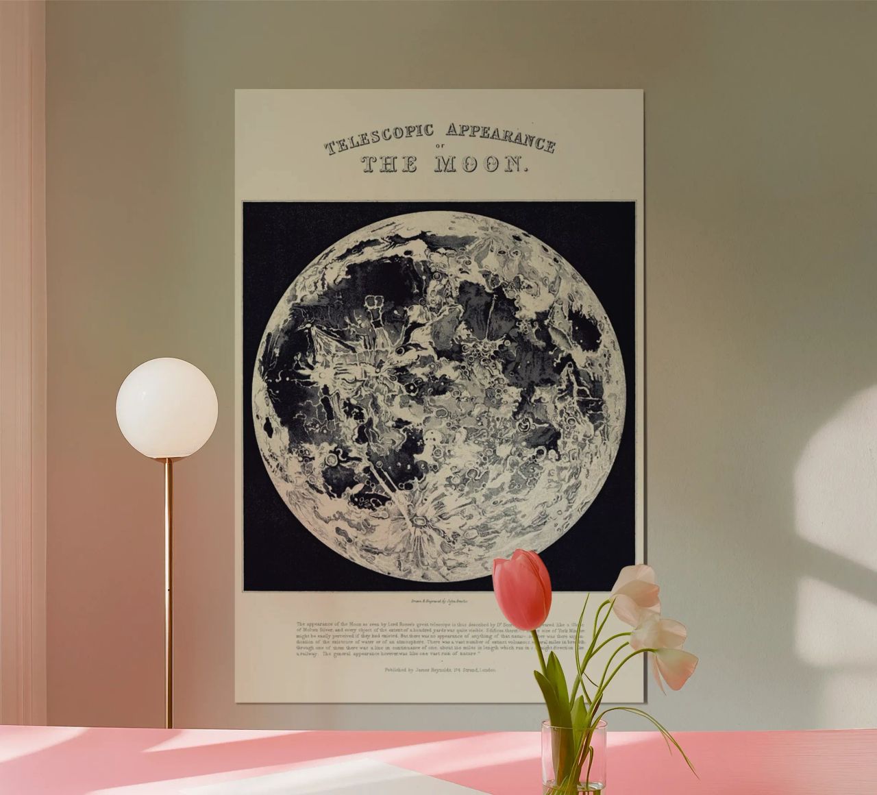 Telescopic Appearance Of The Moon poster da Astër