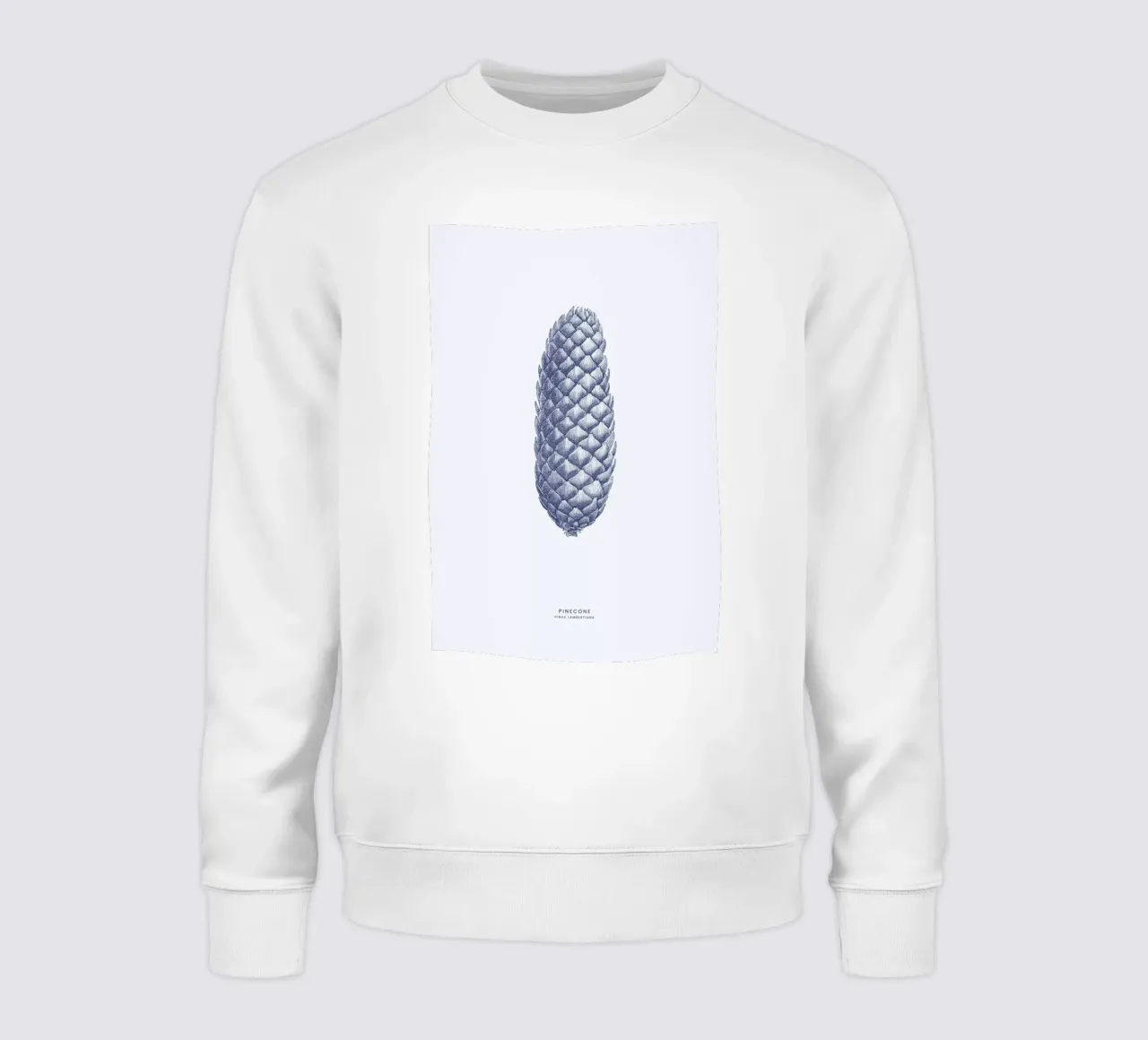Pinecone II sweatshirt van Flora & Fauna