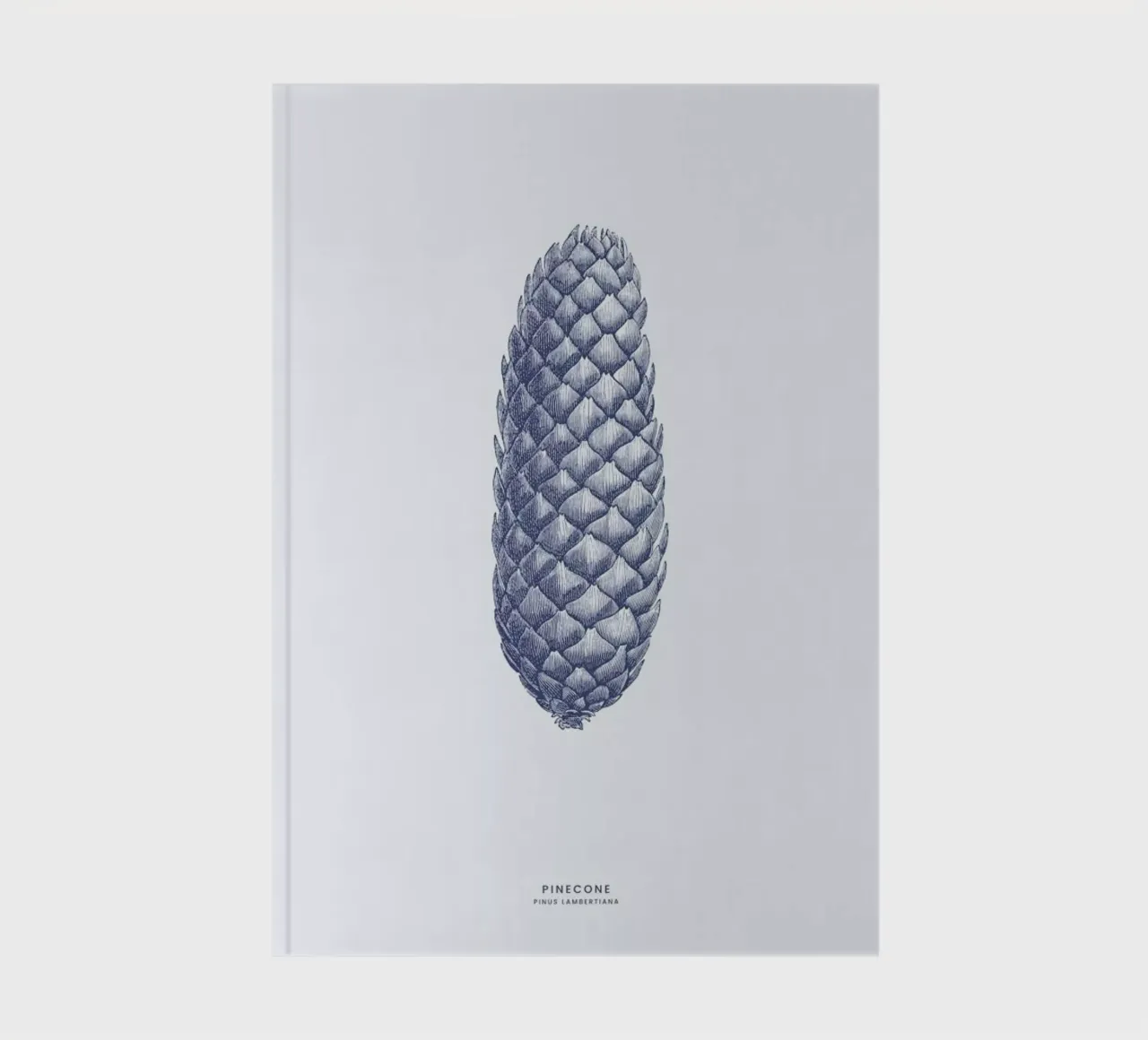 Pinecone II notebook by Flora & Fauna
