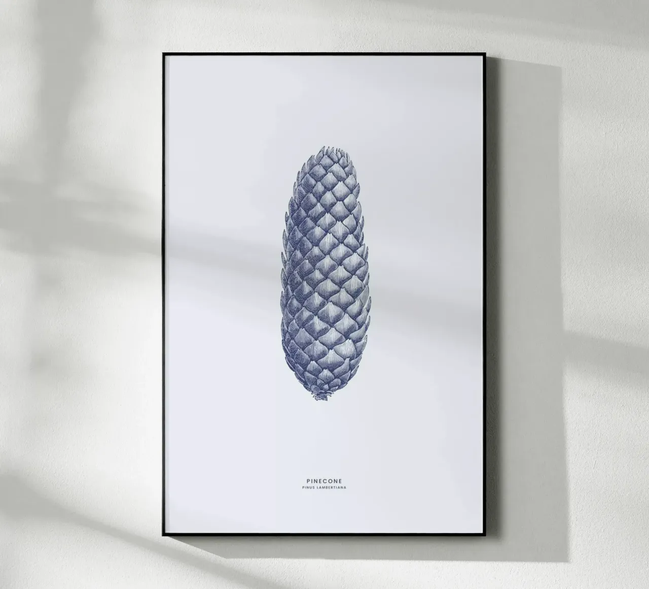 Pinecone II plexiglass da Flora & Fauna