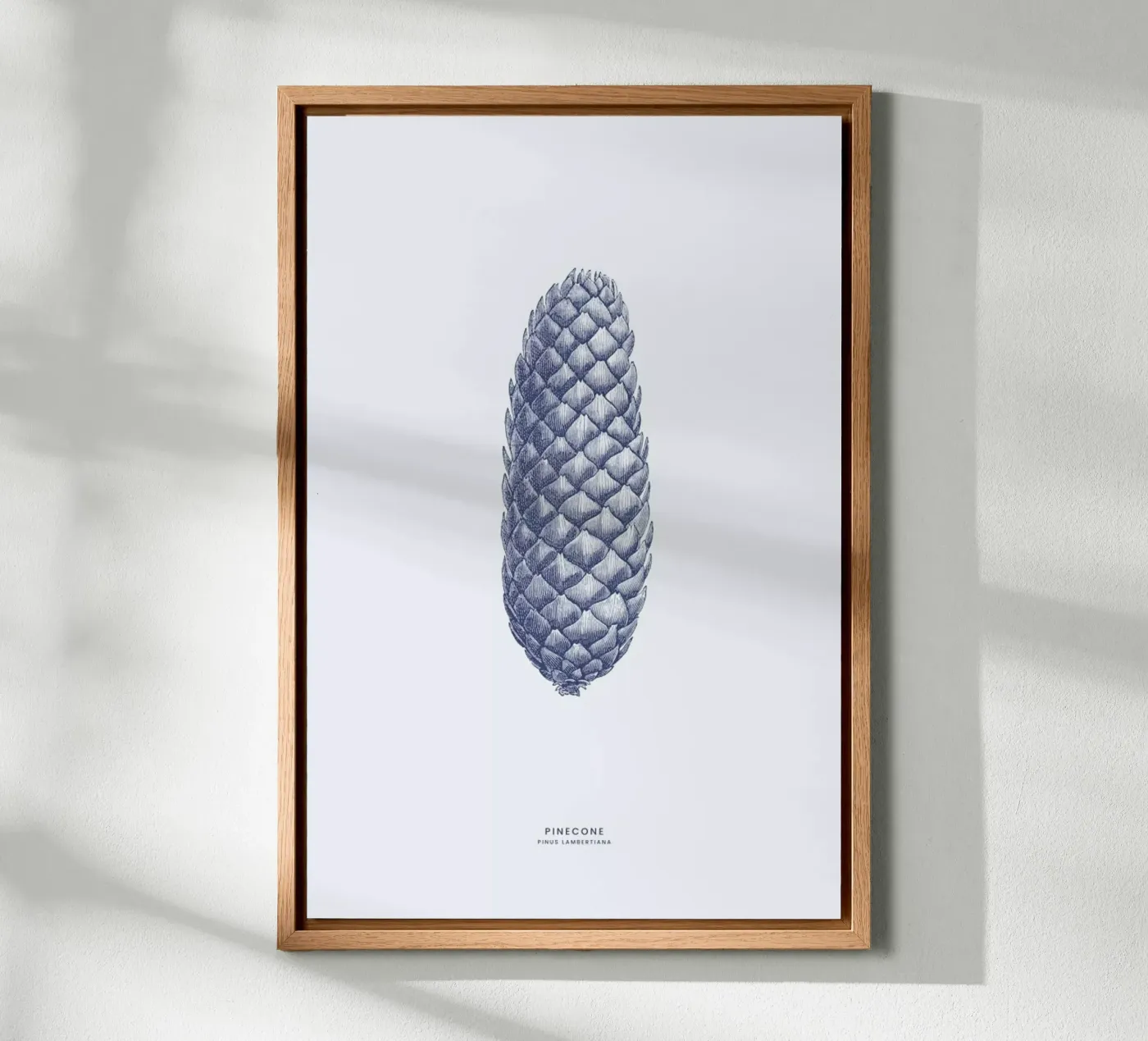 Pinecone II alluminio dibond da Flora & Fauna