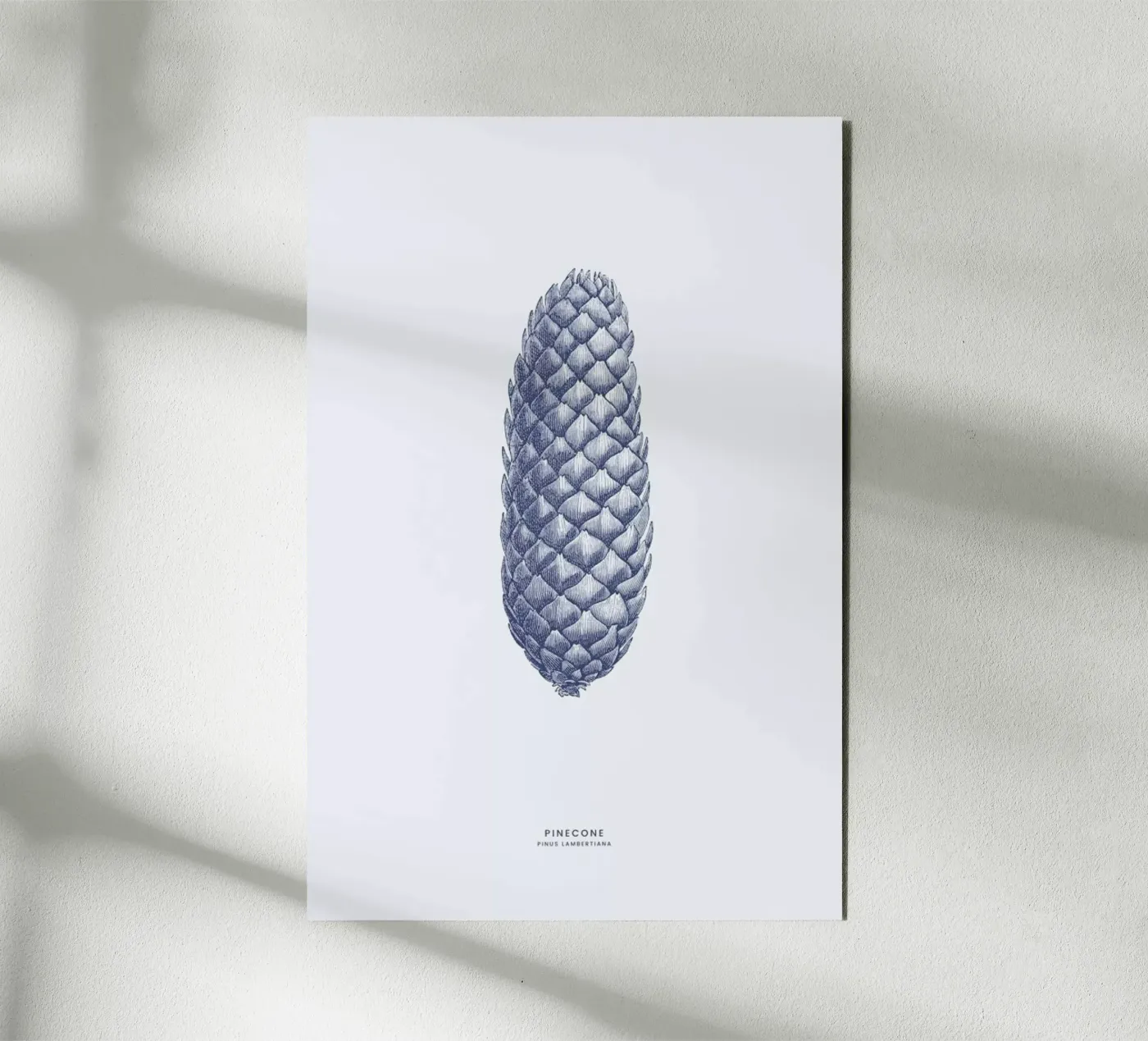 Pinecone II alluminio dibond da Flora & Fauna