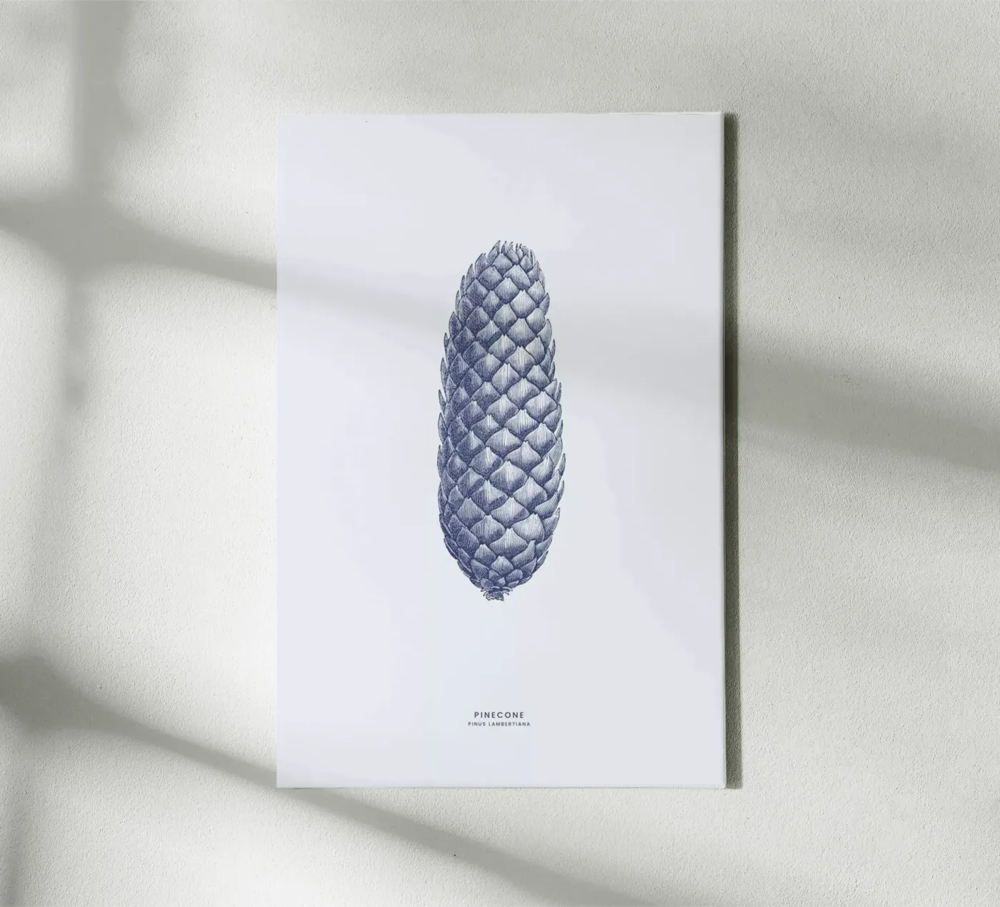 Pinecone II tela da Flora & Fauna
