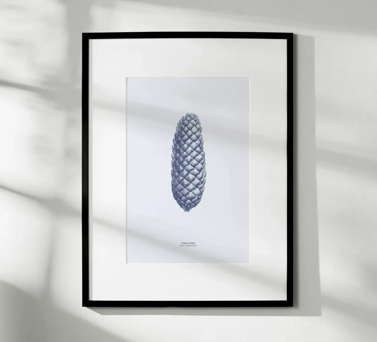 Pinecone II poster da Flora & Fauna
