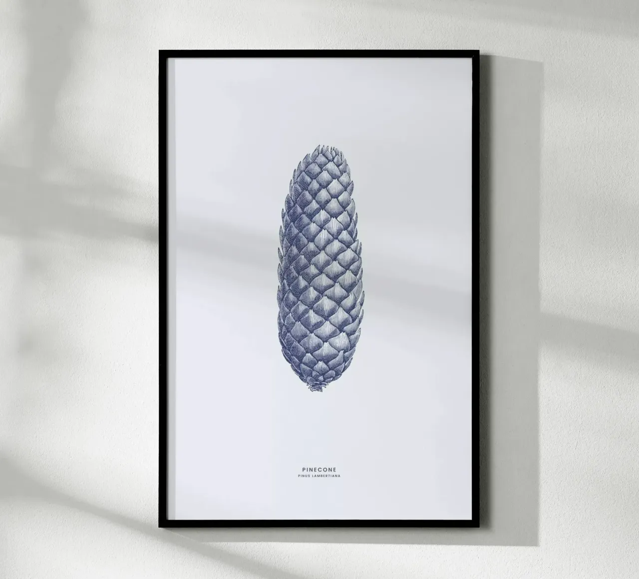 Pinecone II poster da Flora & Fauna