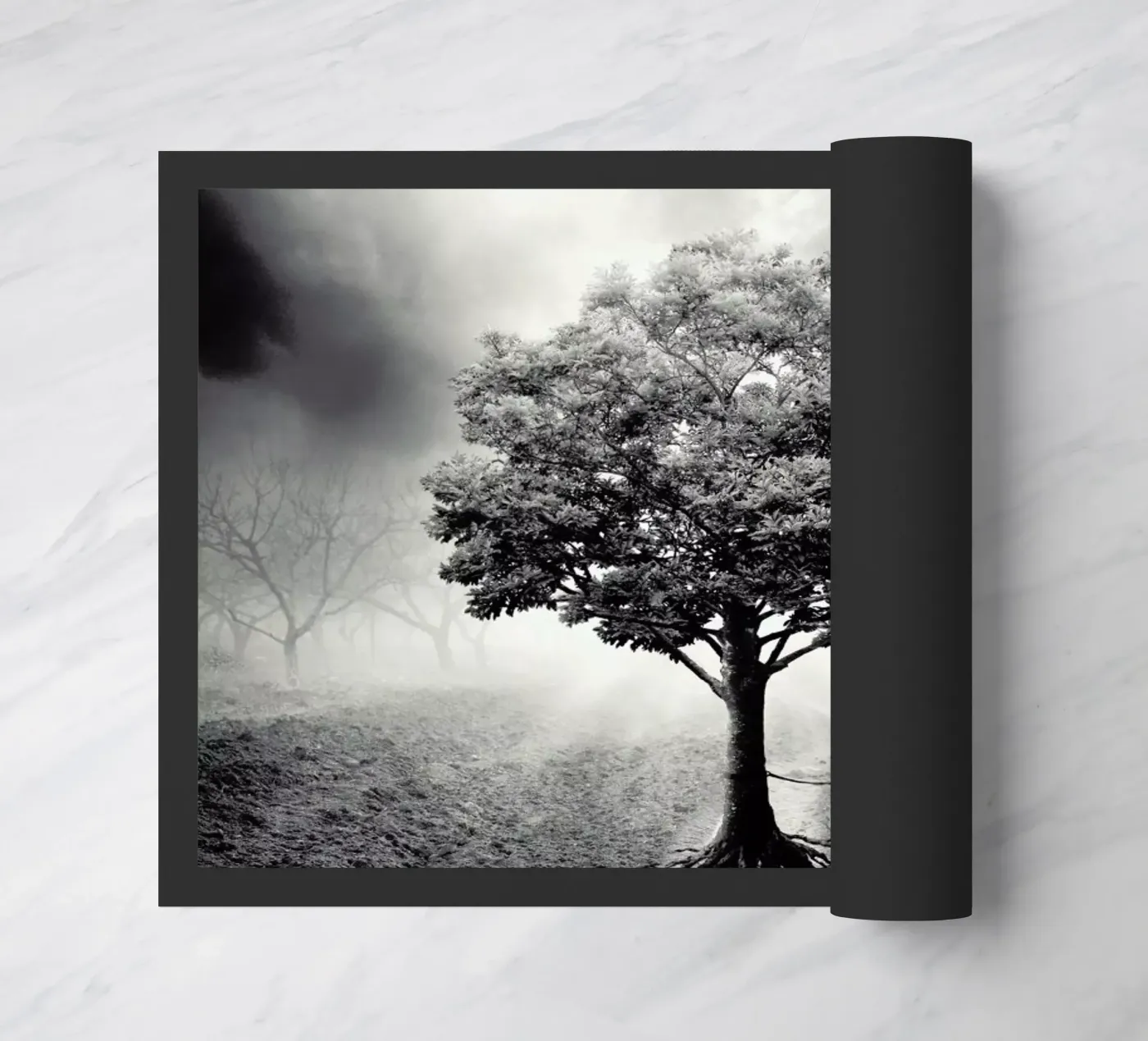 pa 2011-08 zerbino da Sarolta Bán