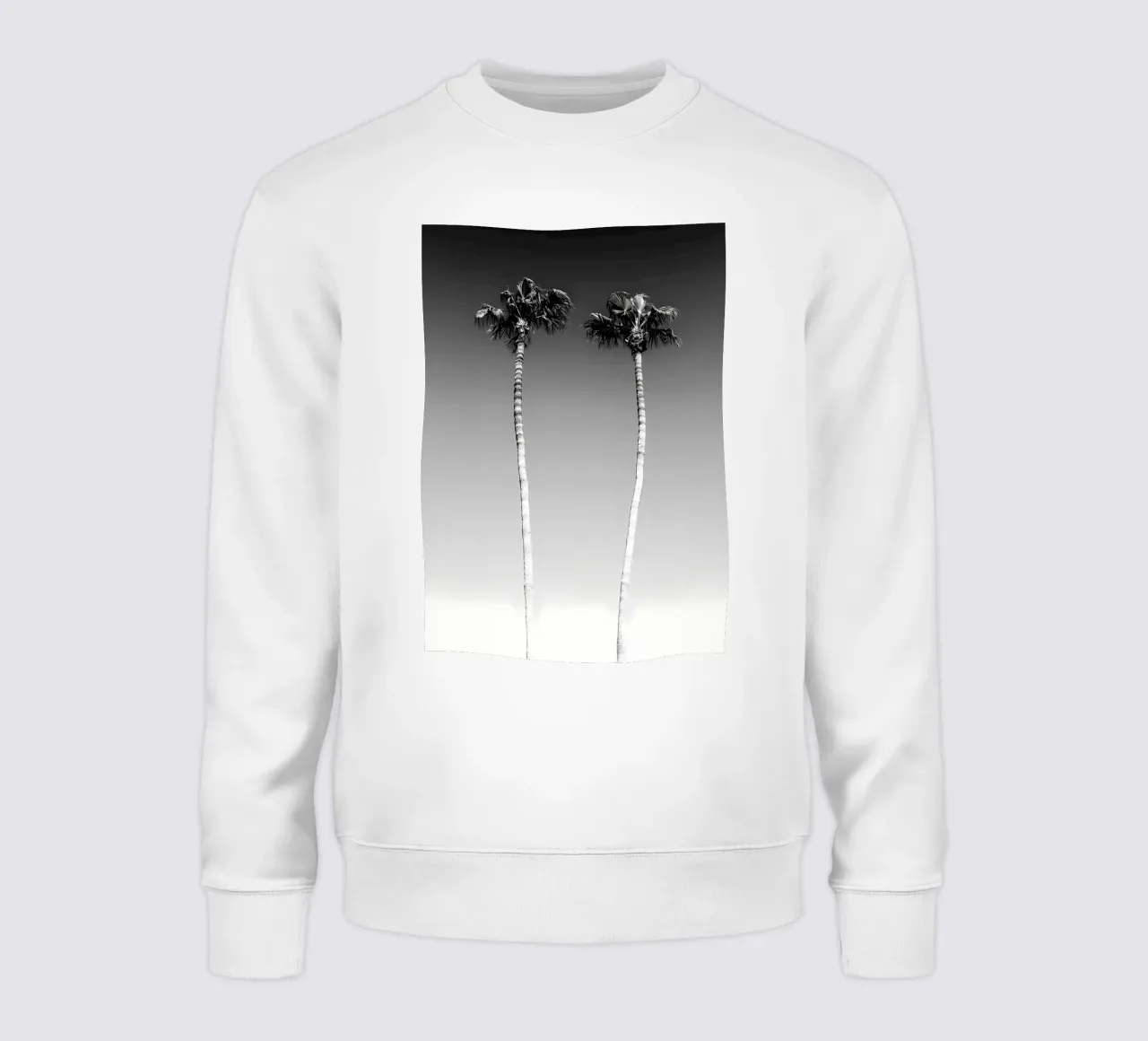 Palme minimaliste felpa da Matthew Katz