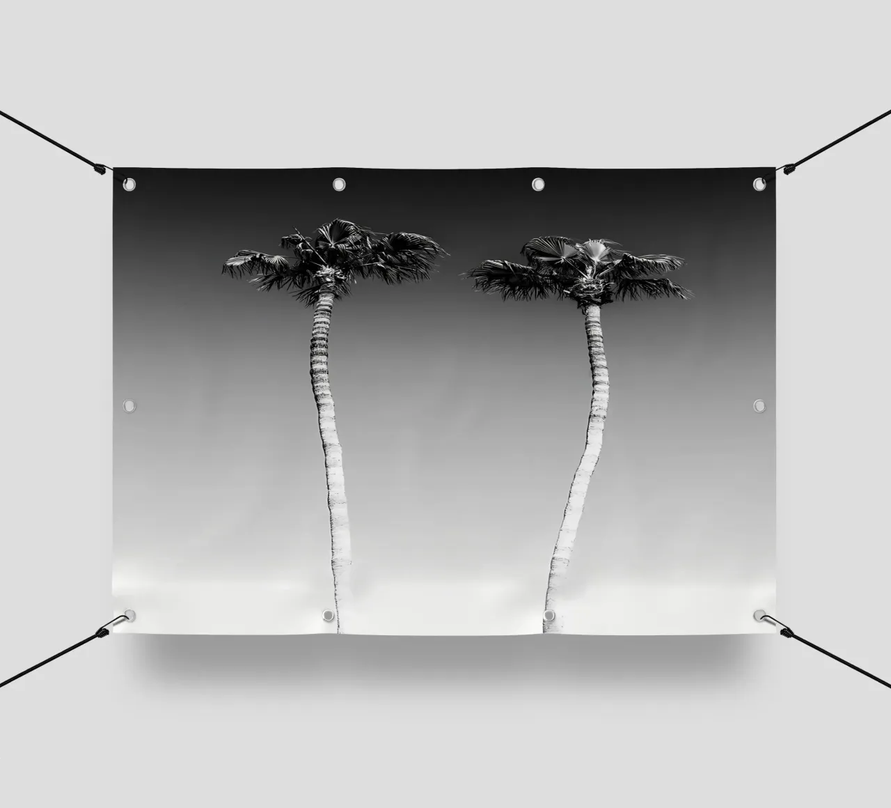 Palme minimaliste telo in pvc da Matthew Katz