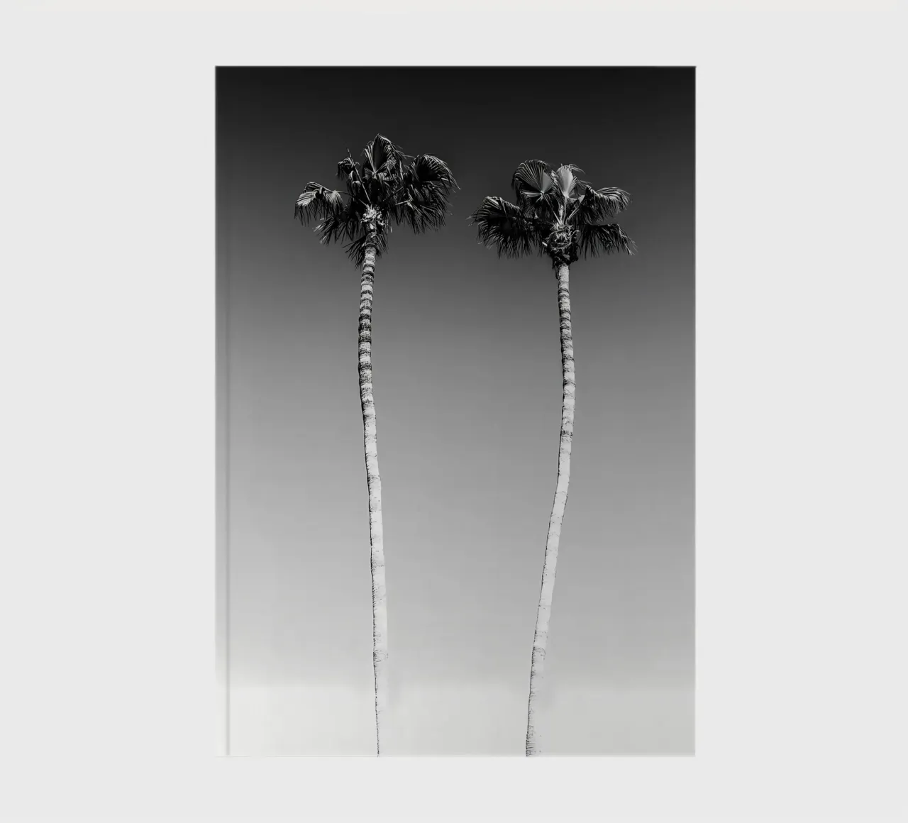 Minimalist Palm trees notebook by Matthew Katz