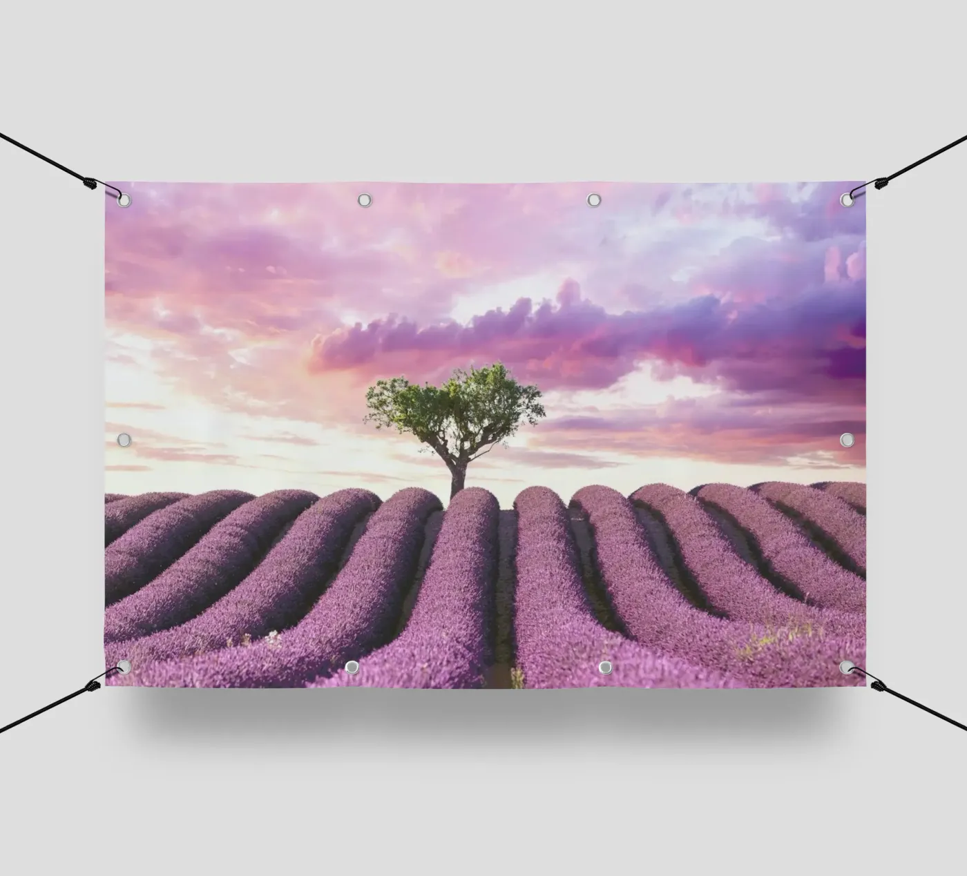 Lavender Fields telo in pvc da Magdalena Martin Photography