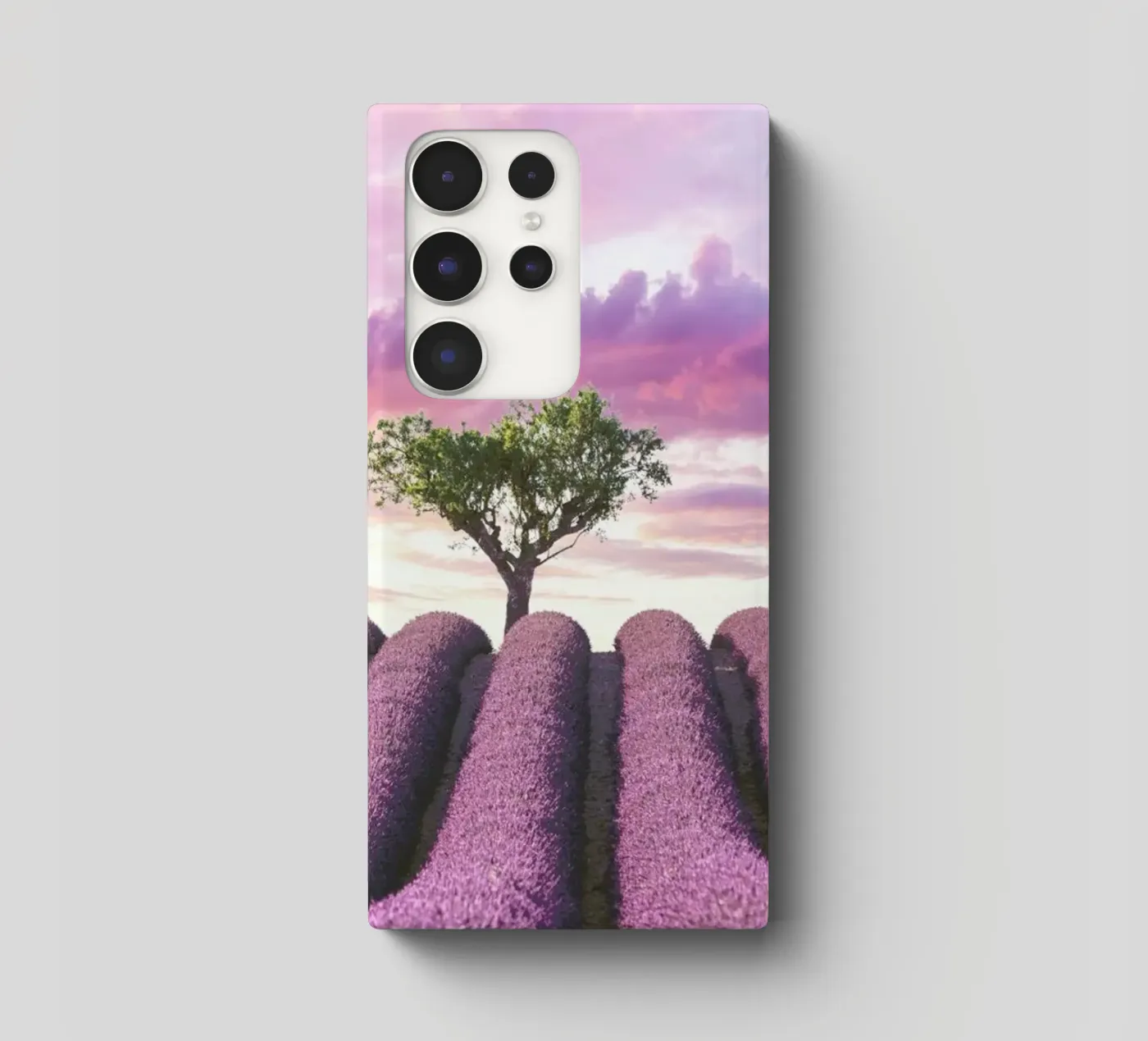 Lavender Fields cover samsung da Magdalena Martin Photography