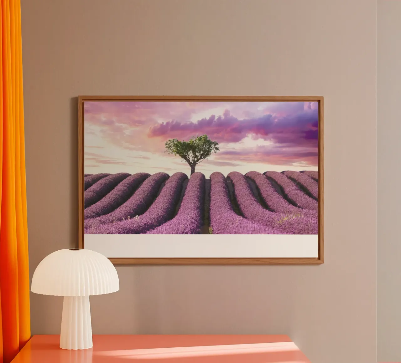 Lavender Fields forex-plaat van Magdalena Martin Photography