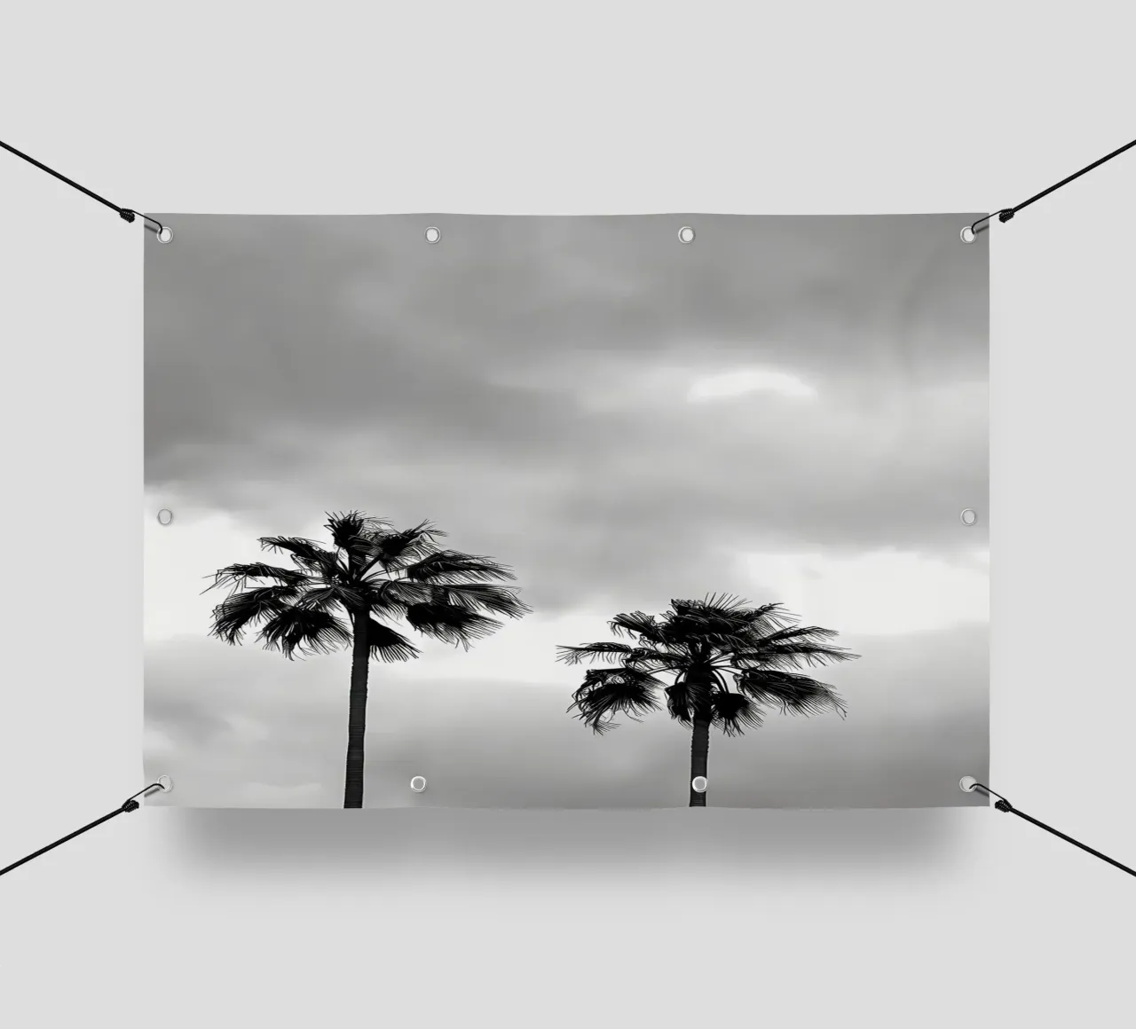 Sagome di palme telo in pvc da Matthew Katz
