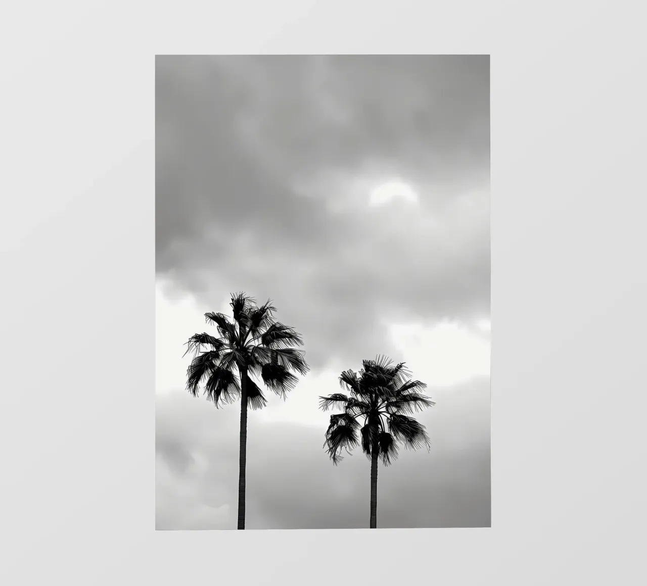 Sagome di palme telo in pvc da Matthew Katz