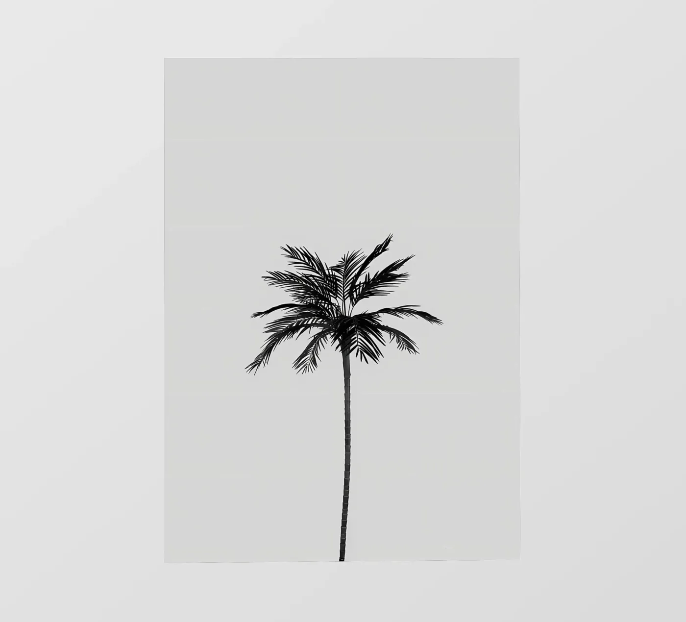Palmboom fotobehang van Matthew Katz