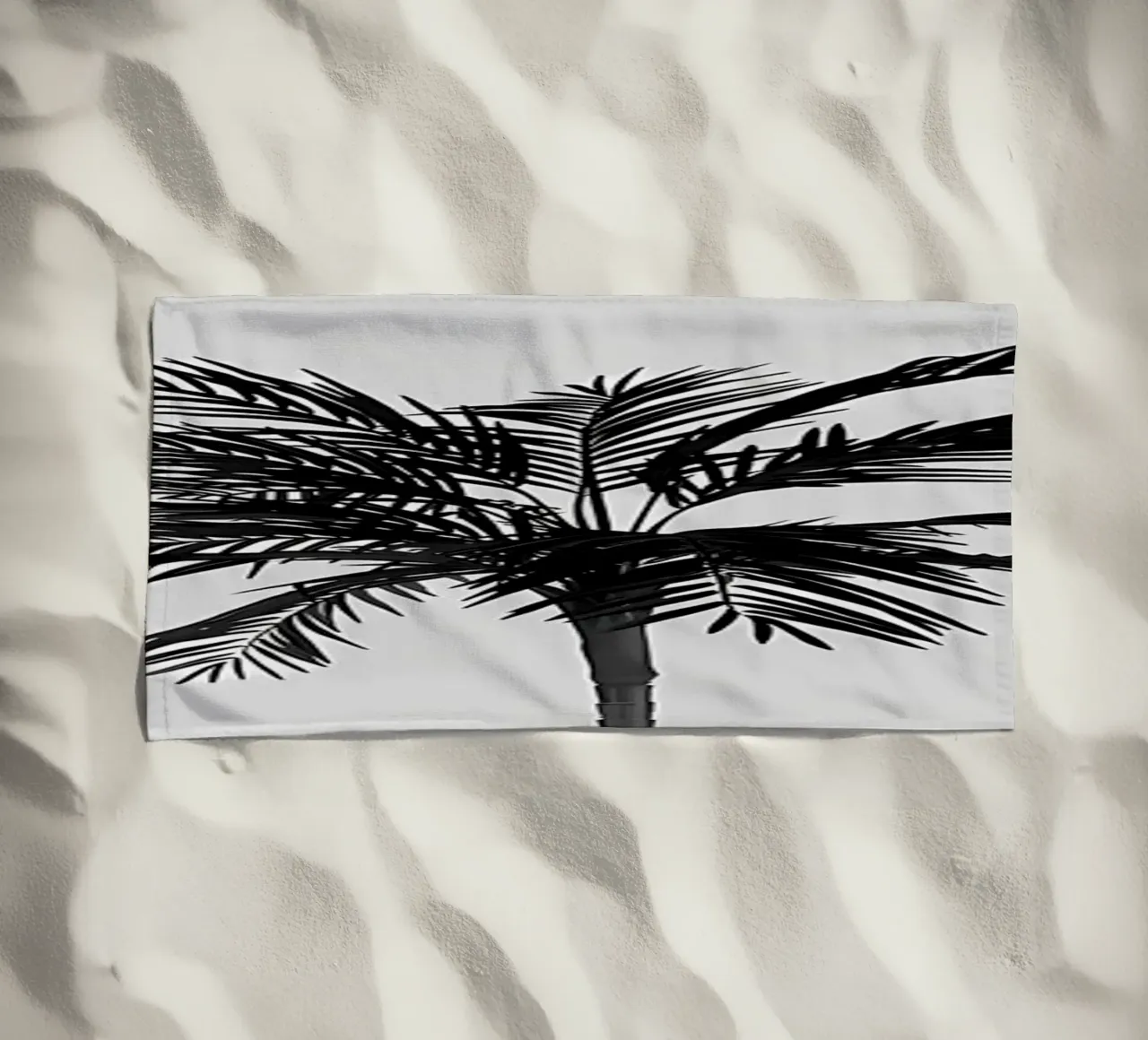 Palma telo mare da Matthew Katz