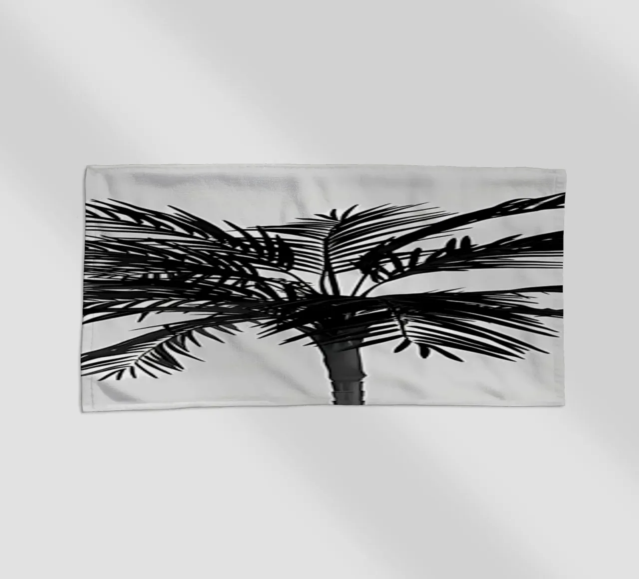 Palma telo mare da Matthew Katz