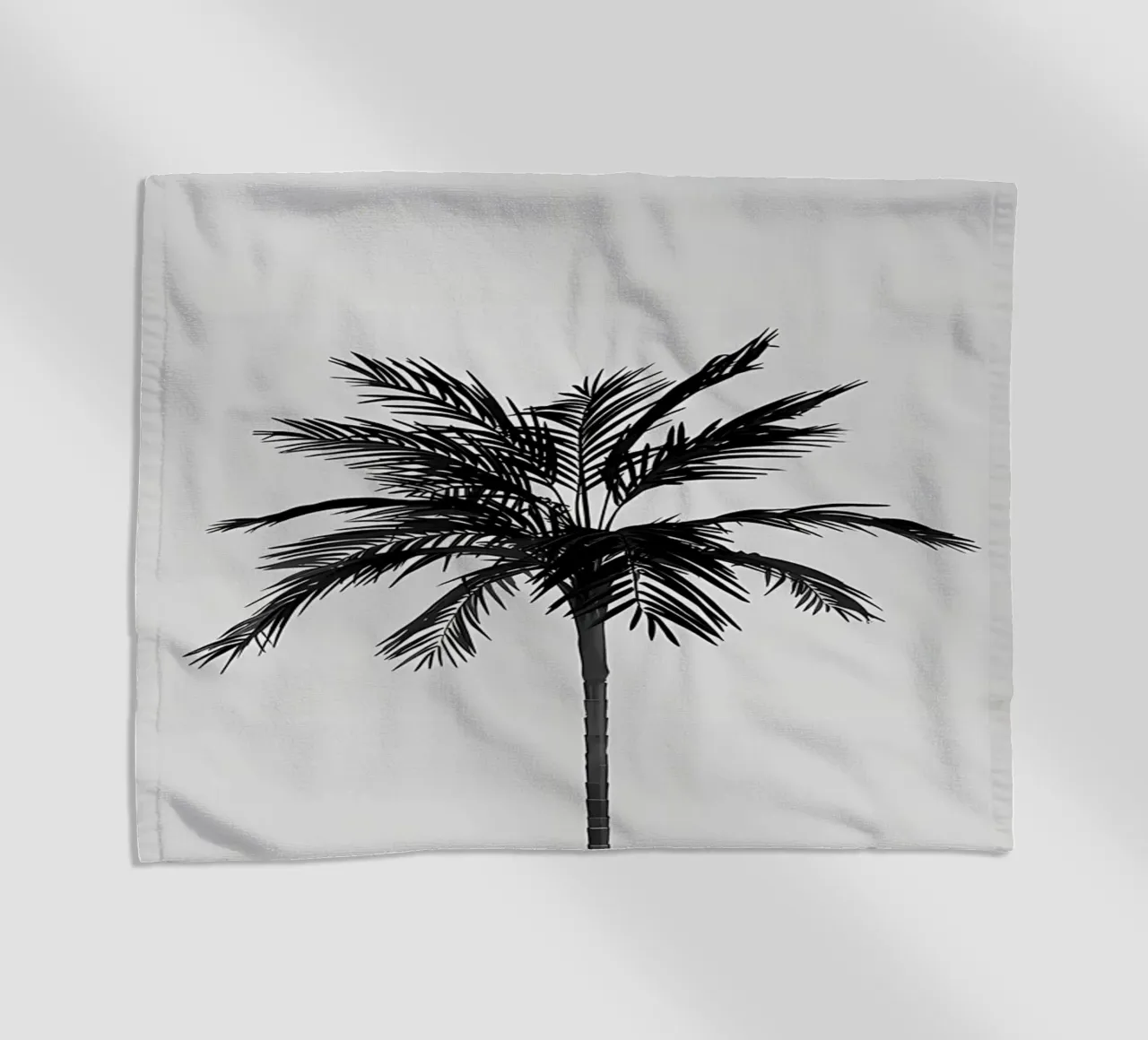 Palma telo mare da Matthew Katz