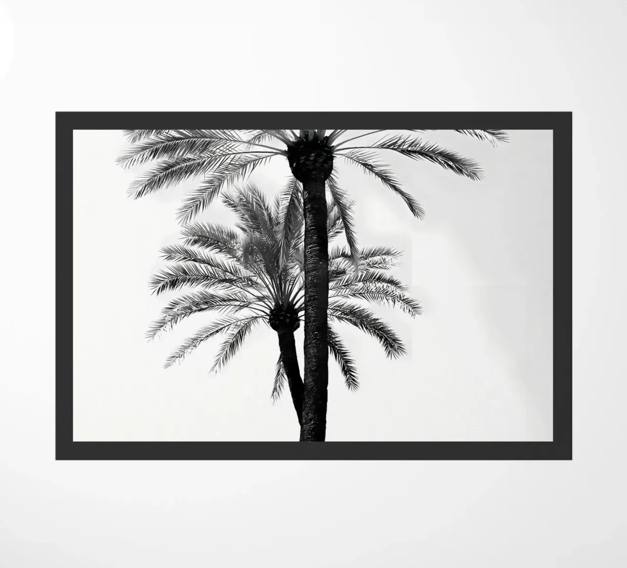 Bellezza delle palme 9 zerbino da Matthew Katz