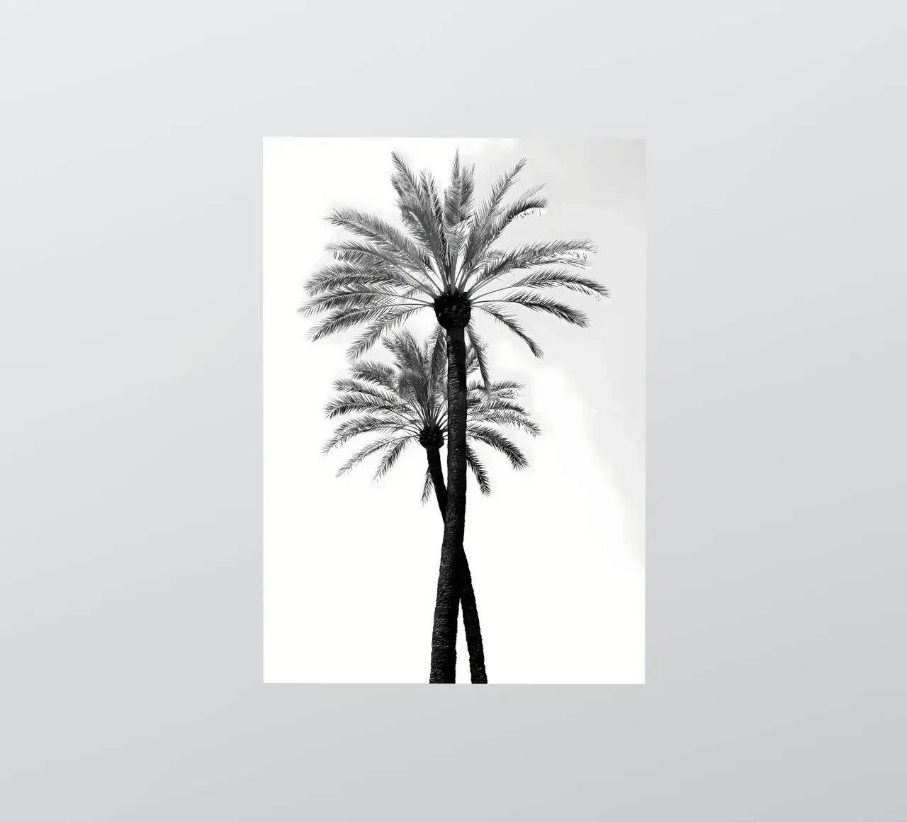 Bellezza delle palme 9 adesivo da Matthew Katz