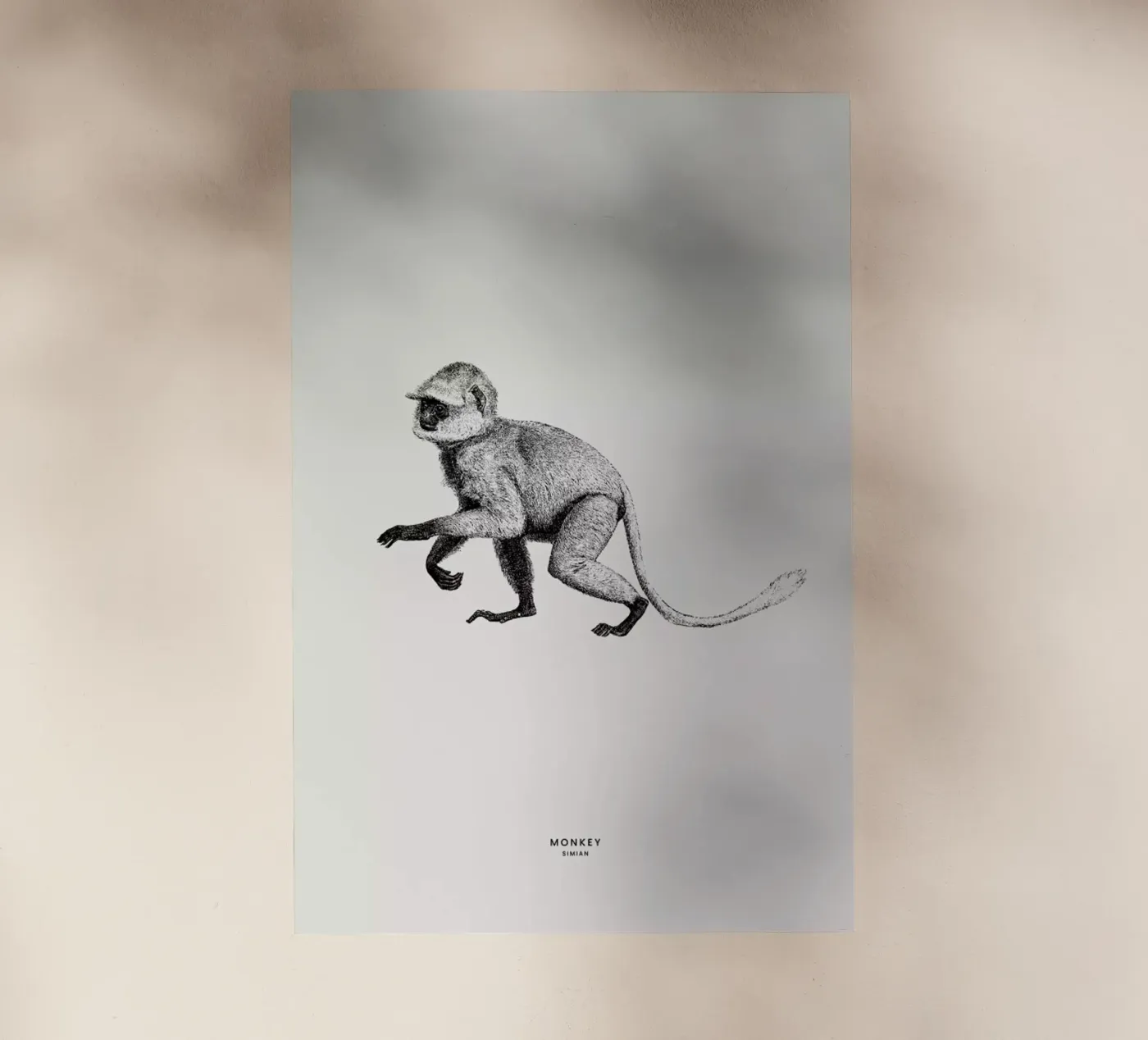 Monkey pellicola backlit da Flora & Fauna