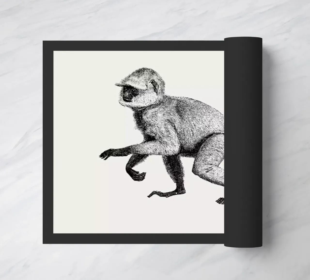 Monkey zerbino da Flora & Fauna