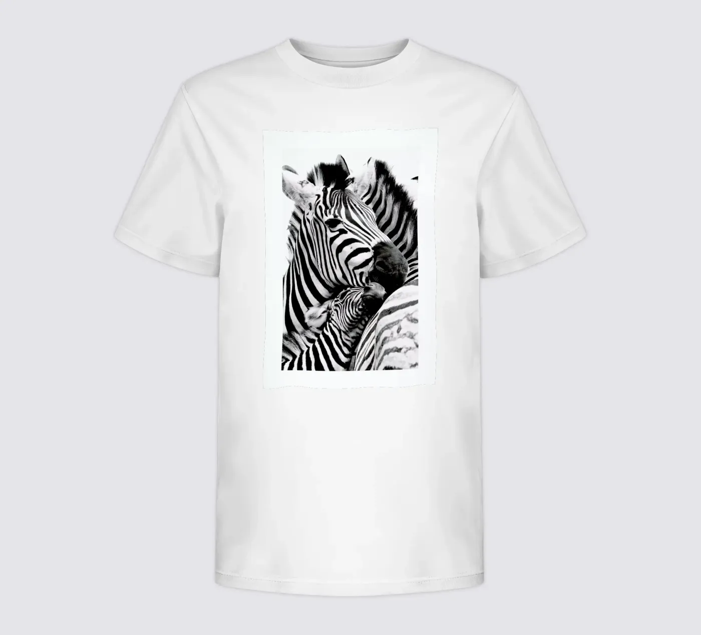 Zebras t-shirt bambini da Natural Kingdom