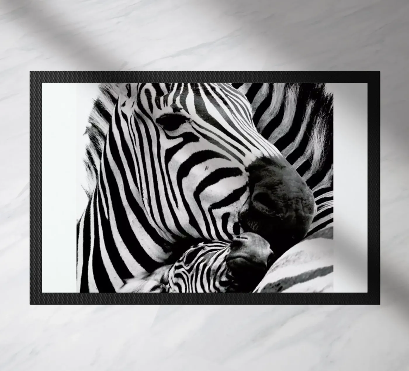 Zebras zerbino da Natural Kingdom