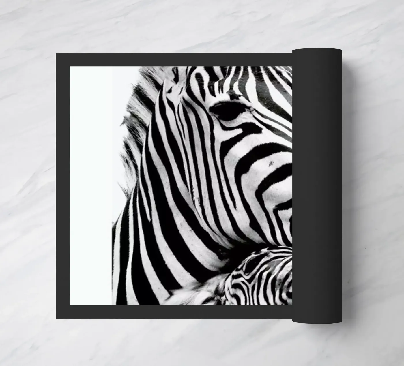 Zebras Fußmatte von Natural Kingdom