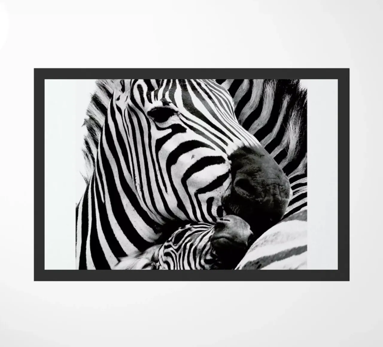 Zebras deurmat van Natural Kingdom