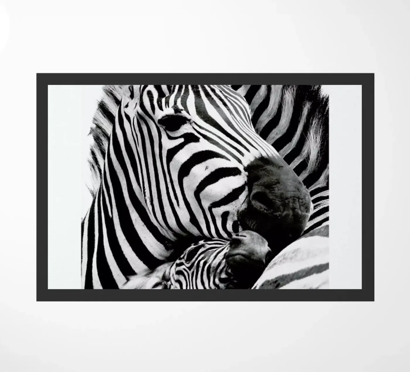 Zebras Fußmatte von Natural Kingdom