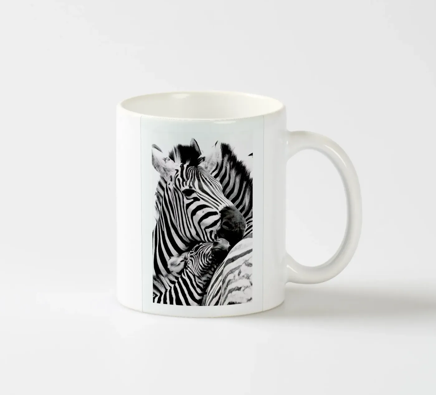 Zebras ceramic mug by Natural Kingdom