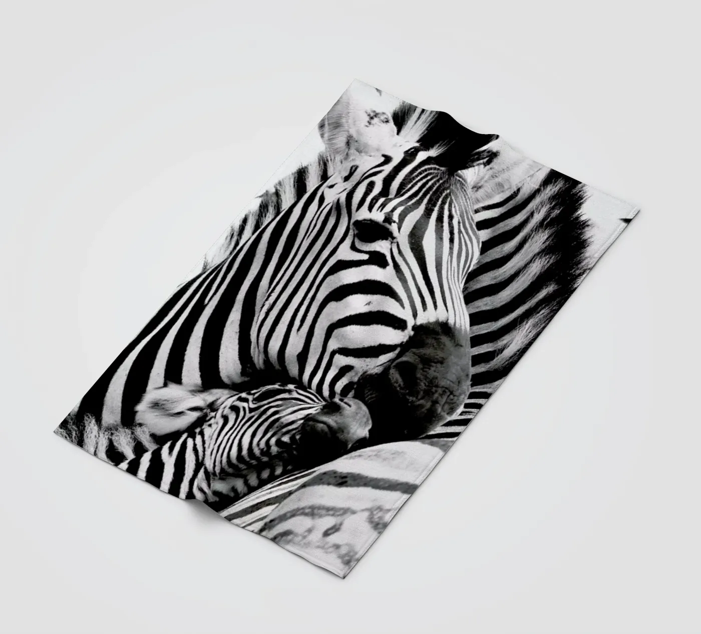 Zebras Fleecedecke von Natural Kingdom