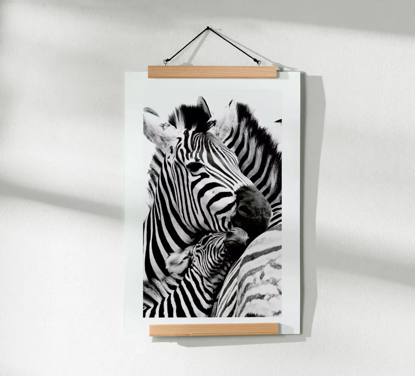 Zebras poster van Natural Kingdom