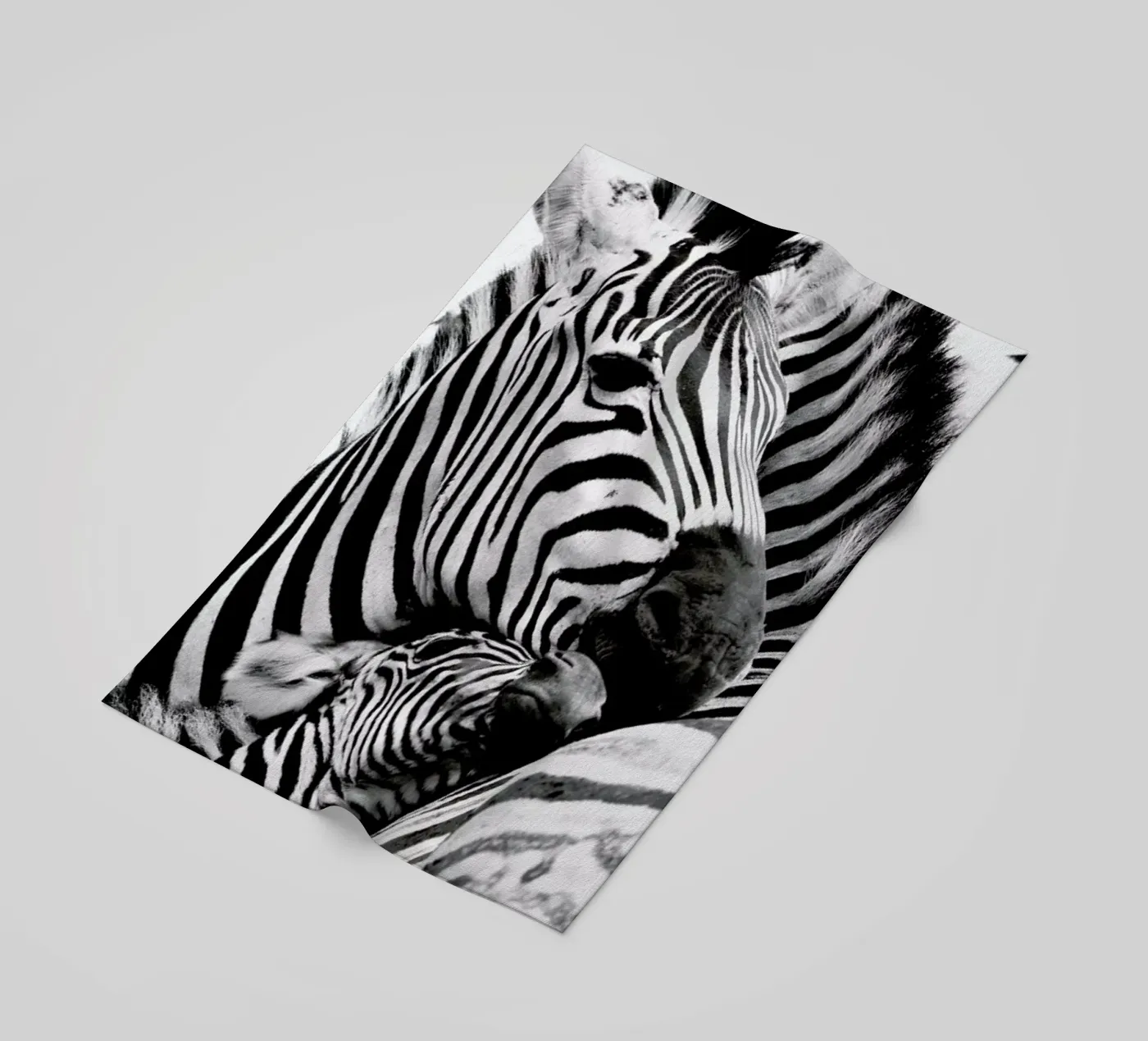 Zebras telo mare da Natural Kingdom