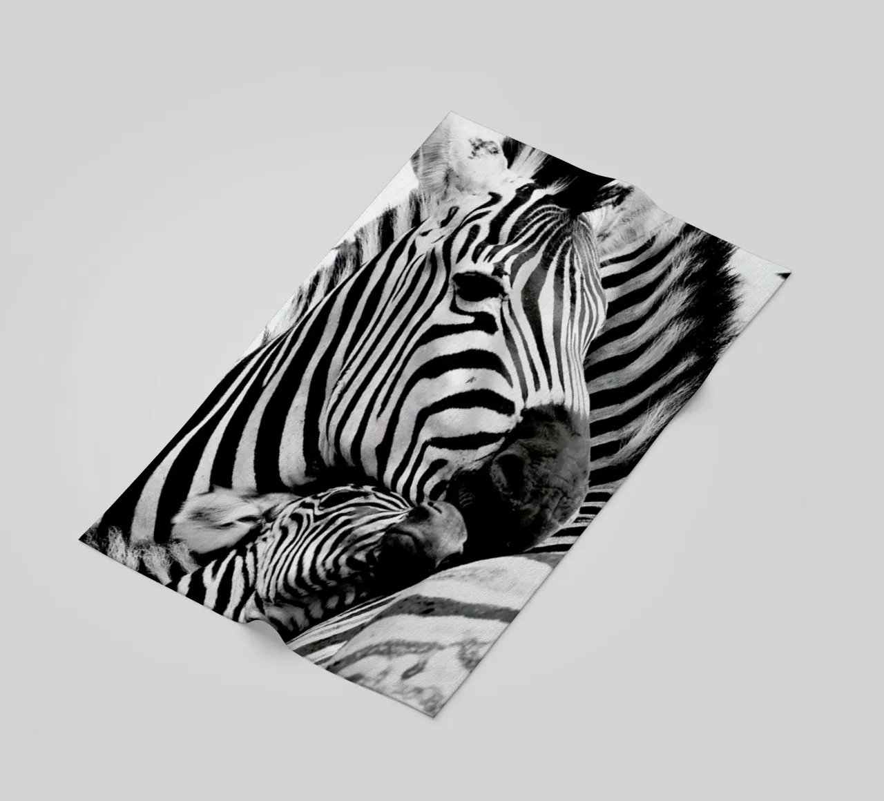 Zebras telo mare da Natural Kingdom