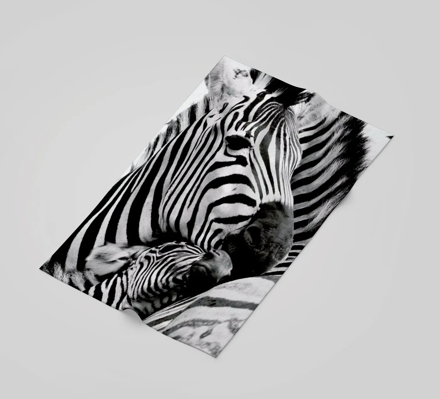 Zebras telo mare da Natural Kingdom