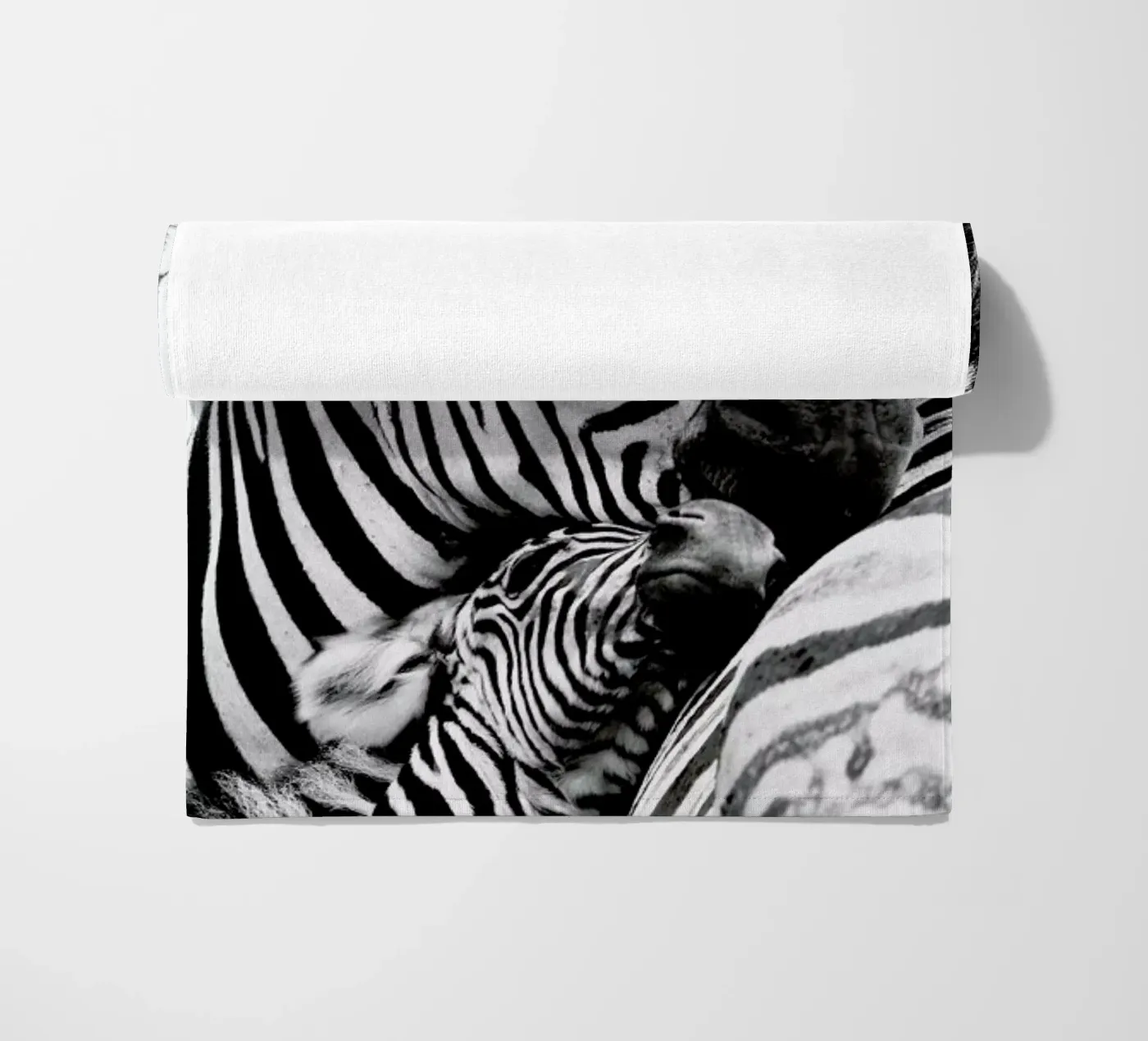 Zebras telo mare da Natural Kingdom