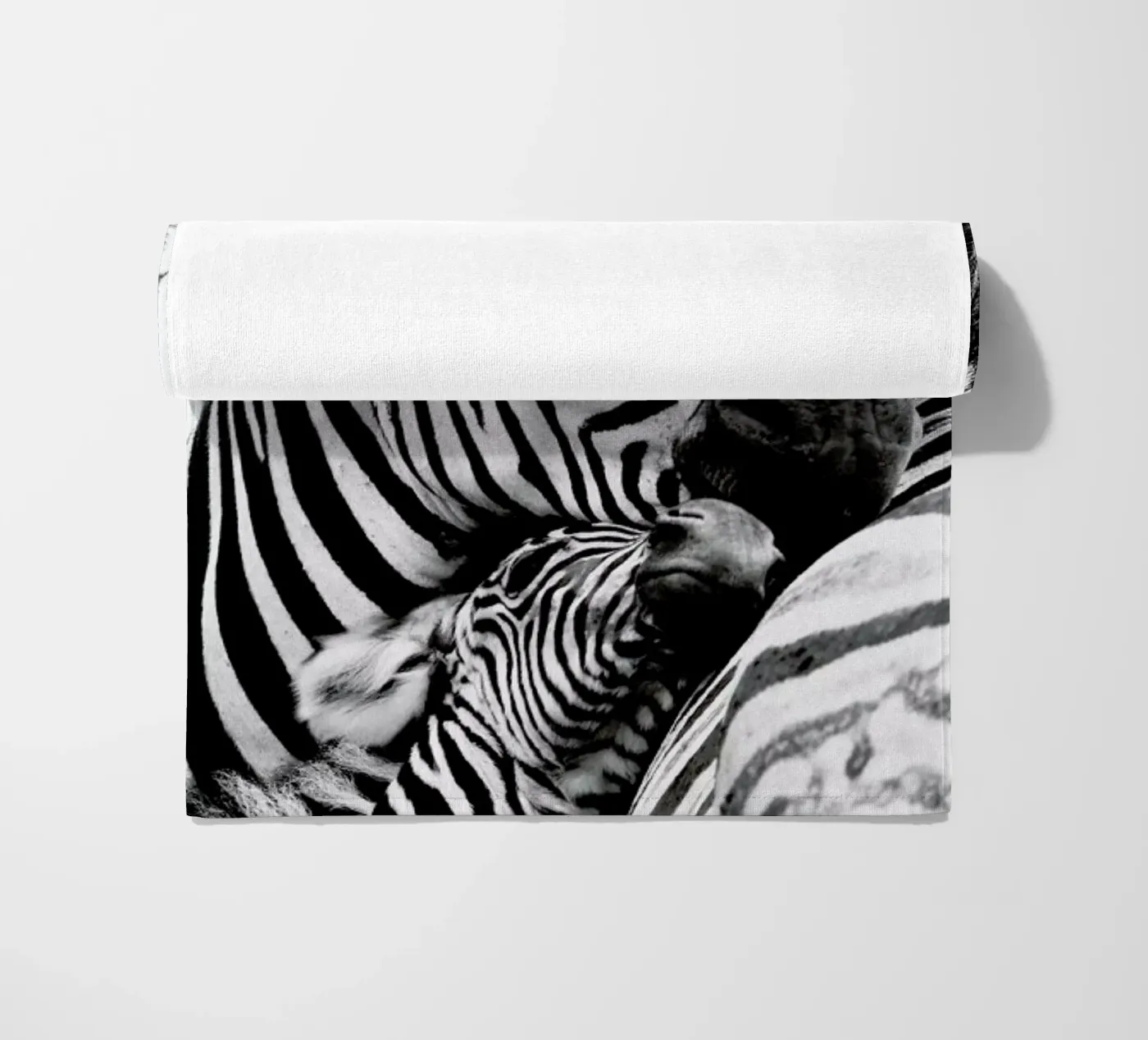 Zebras telo mare da Natural Kingdom