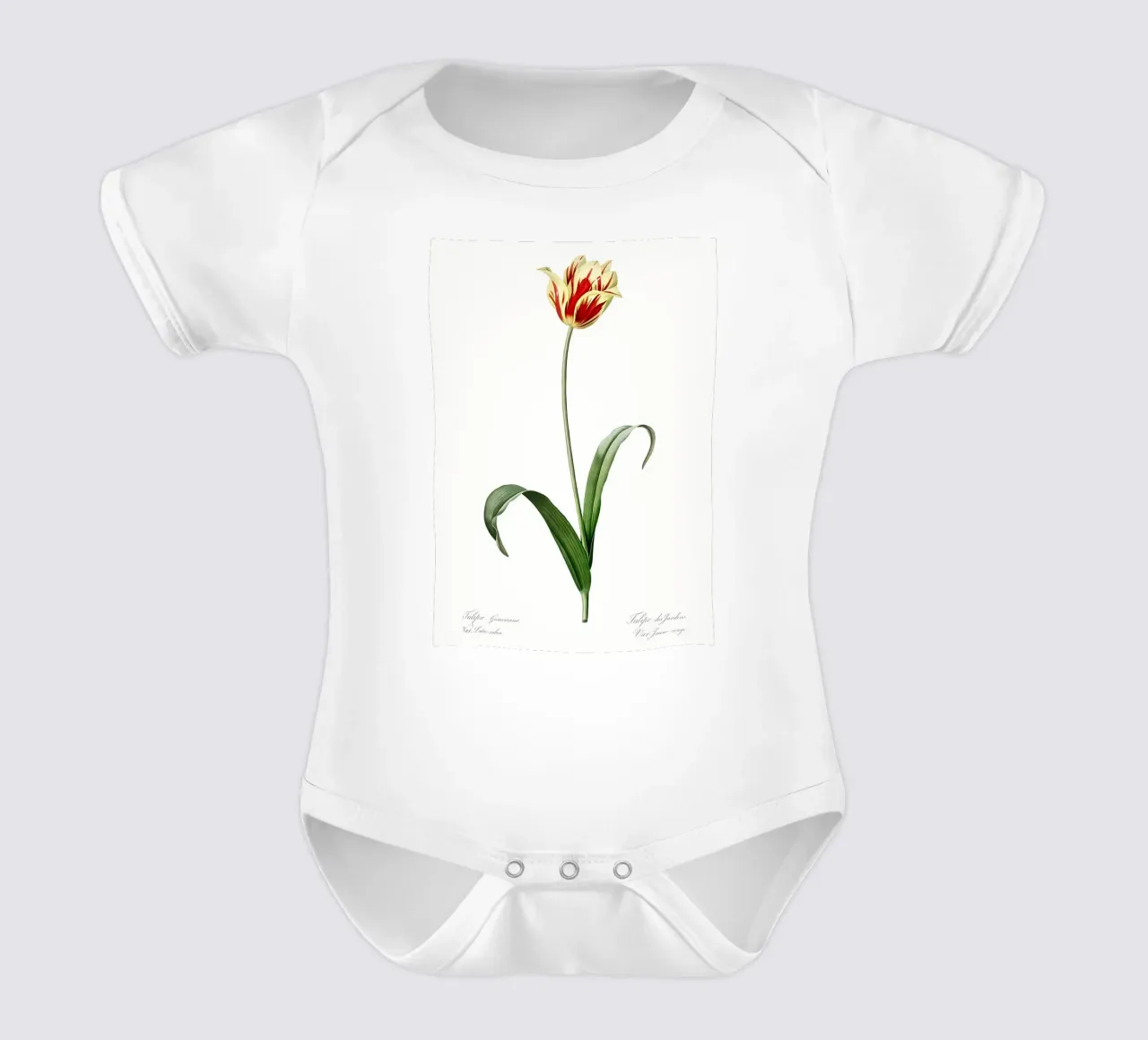 Liliaceae 1805 HQ Orig body neonato maniche corte da Nicholas Campbell