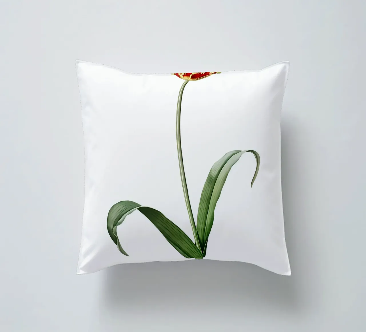 Liliaceae 1805 HQ Orig cuscino da Nicholas Campbell