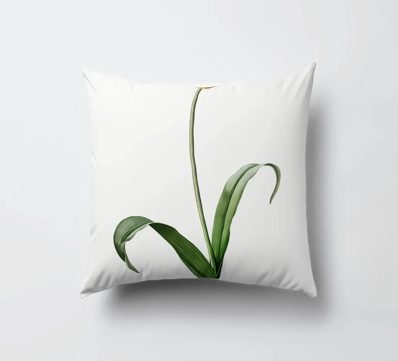 Liliaceae 1805 HQ Orig cuscino da Nicholas Campbell