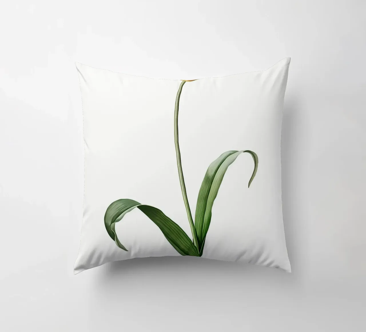 Liliaceae 1805 HQ Orig cuscino da Nicholas Campbell