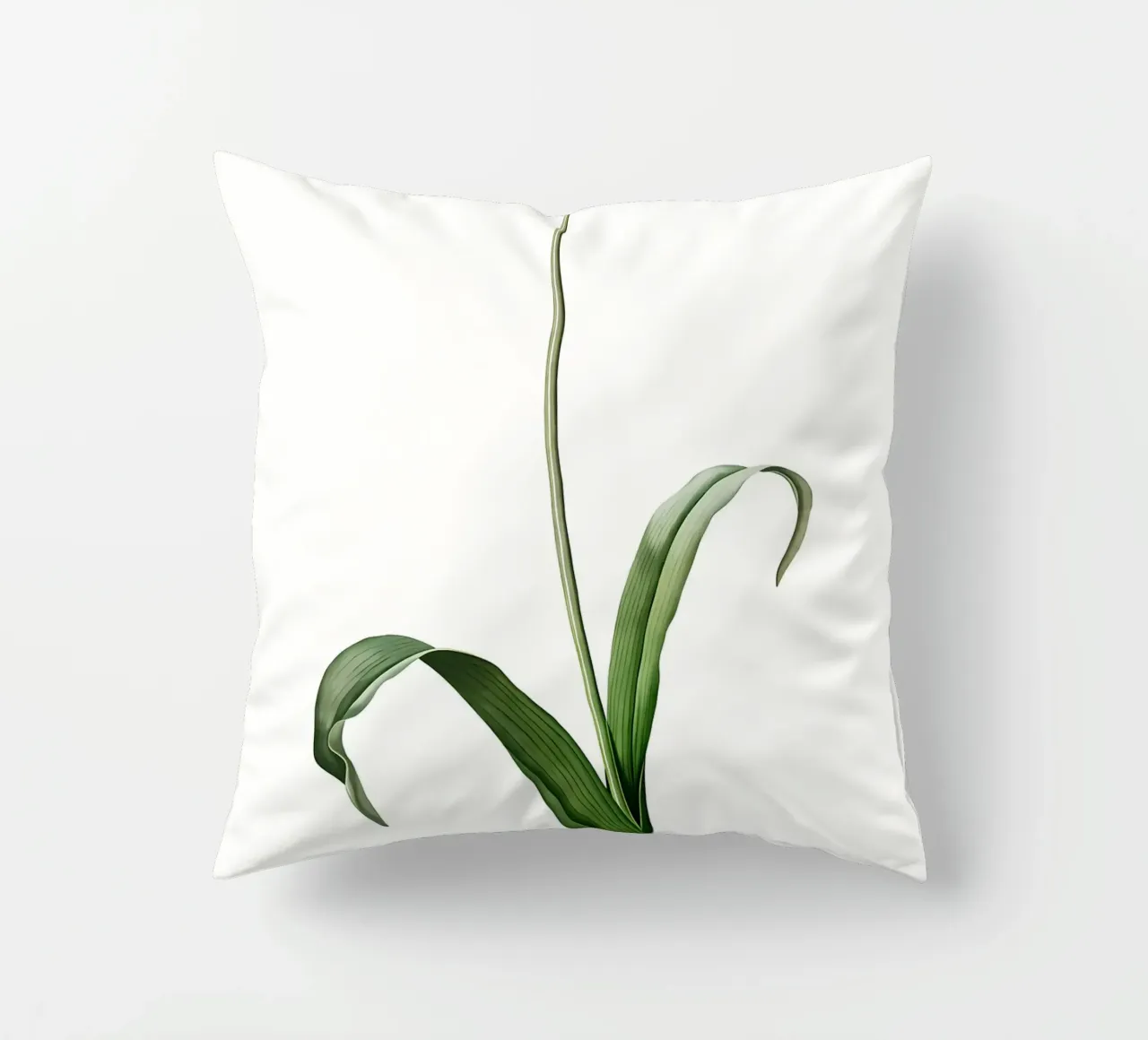 Liliaceae 1805 HQ Orig cuscino da Nicholas Campbell