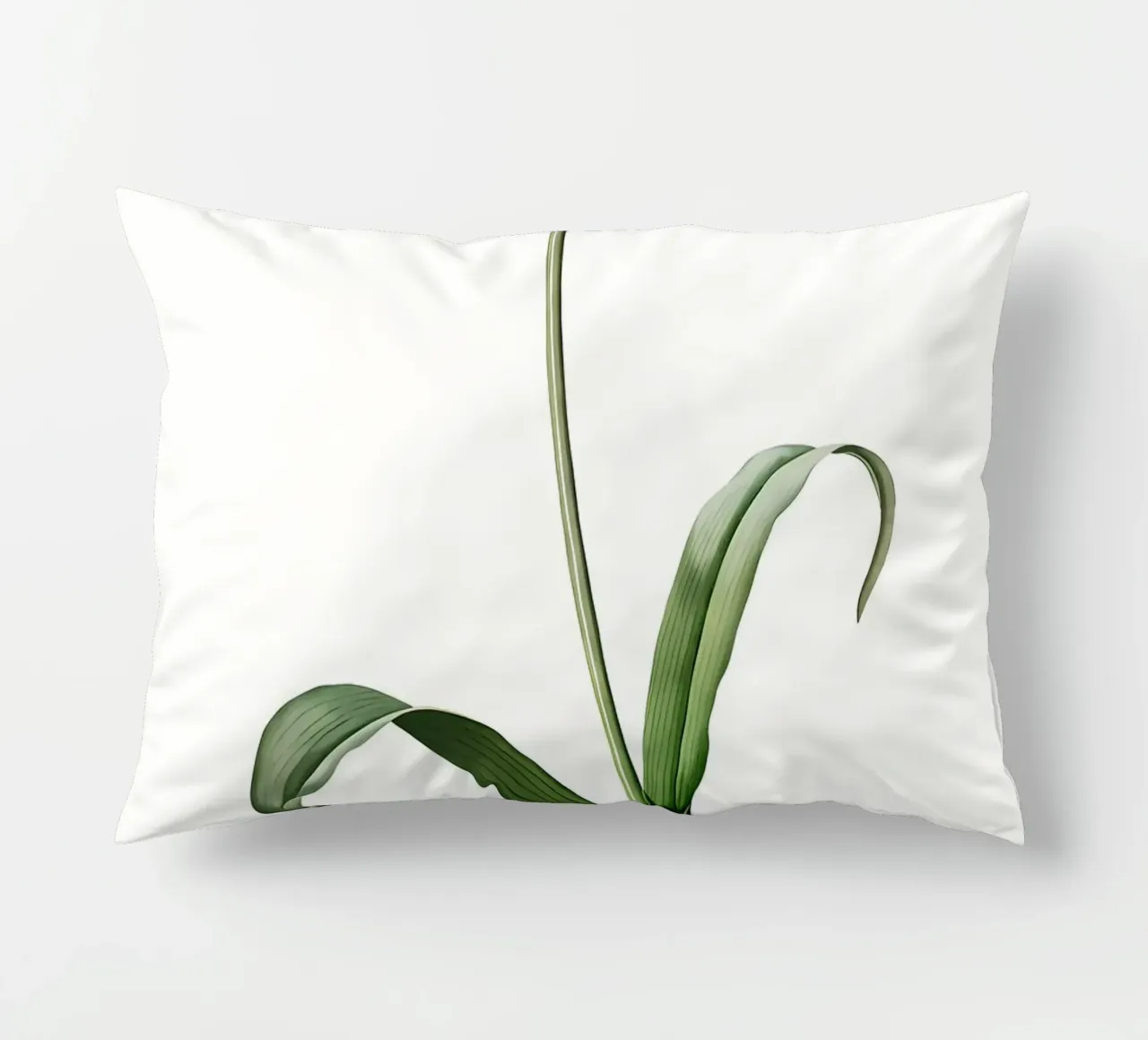 Liliaceae 1805 HQ Orig cuscino da Nicholas Campbell