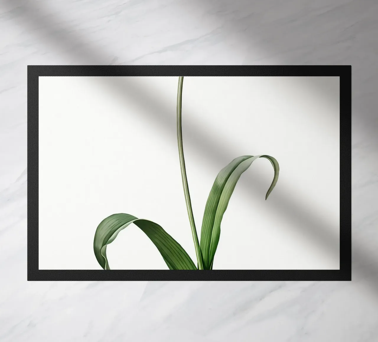 Liliaceae 1805 HQ Orig zerbino da Nicholas Campbell