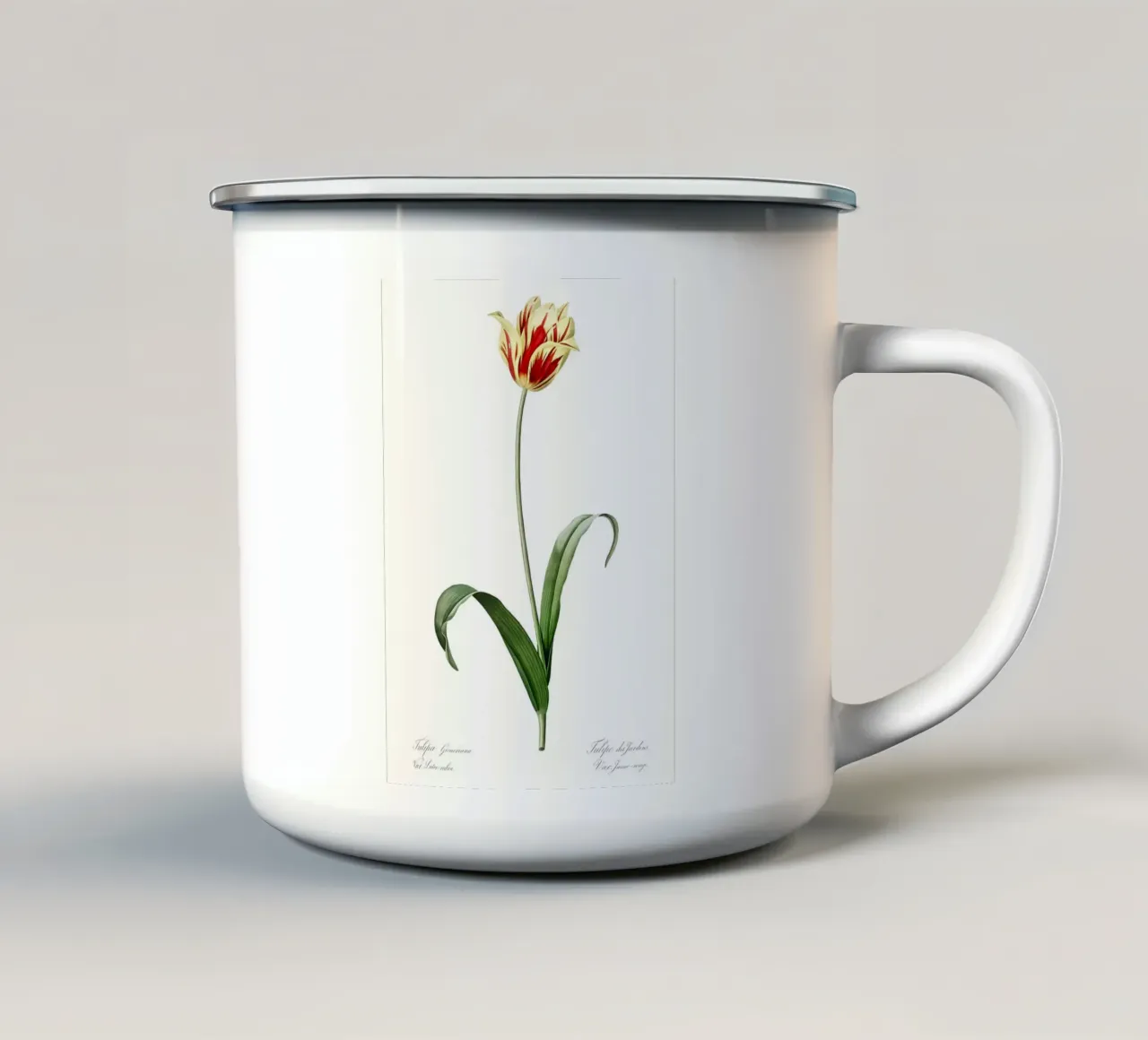 Liliaceae 1805 HQ Orig tazza in smalto da Nicholas Campbell