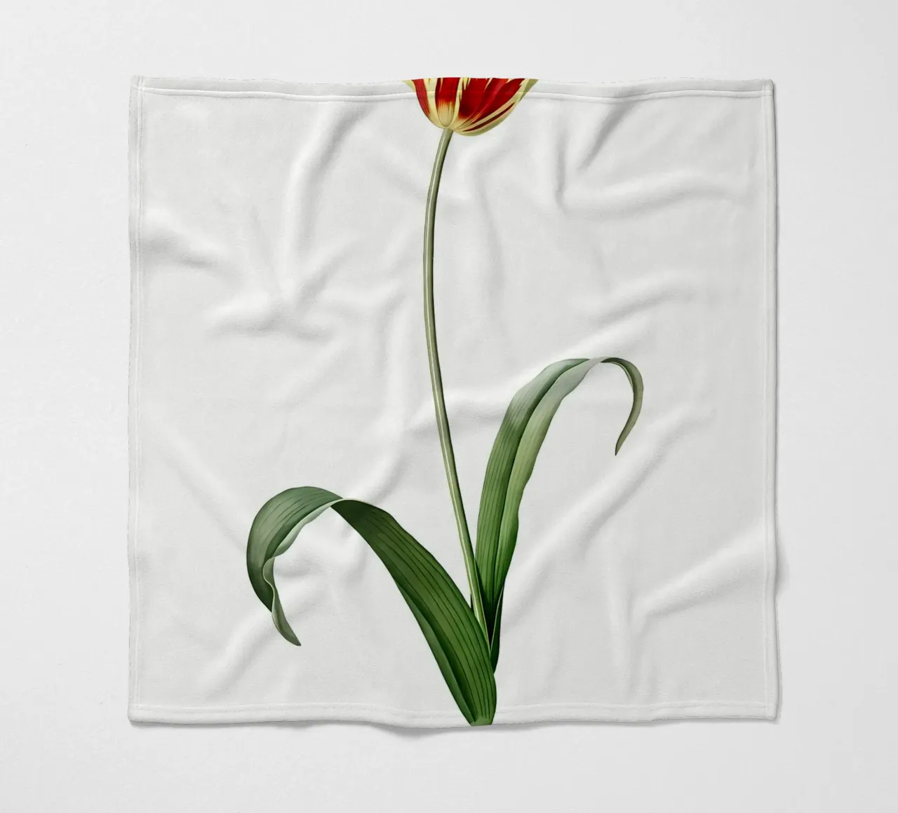 Liliaceae 1805 HQ Orig coperta in pile da Nicholas Campbell